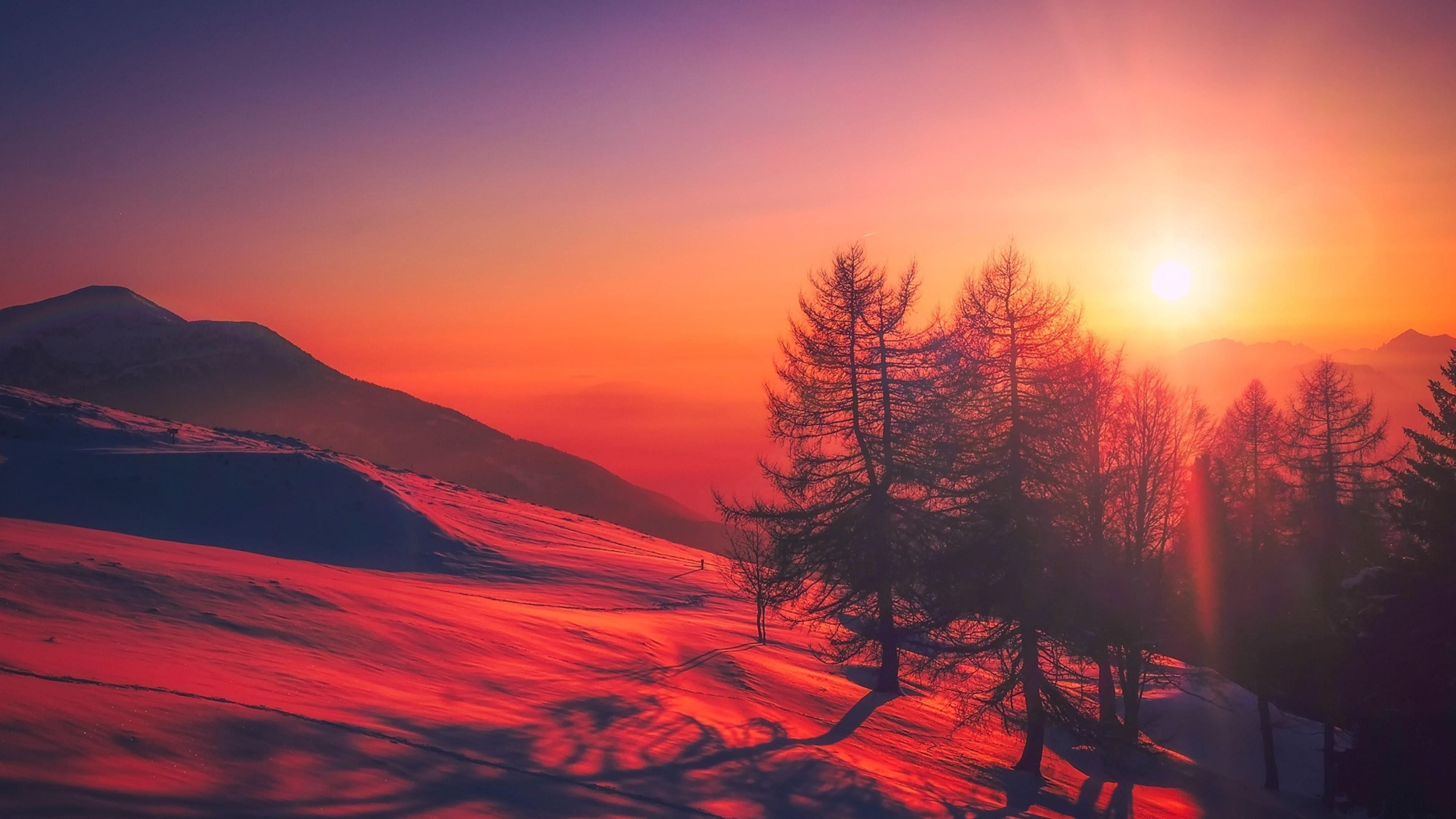 3840x2160 Red Nature Wallpaper
