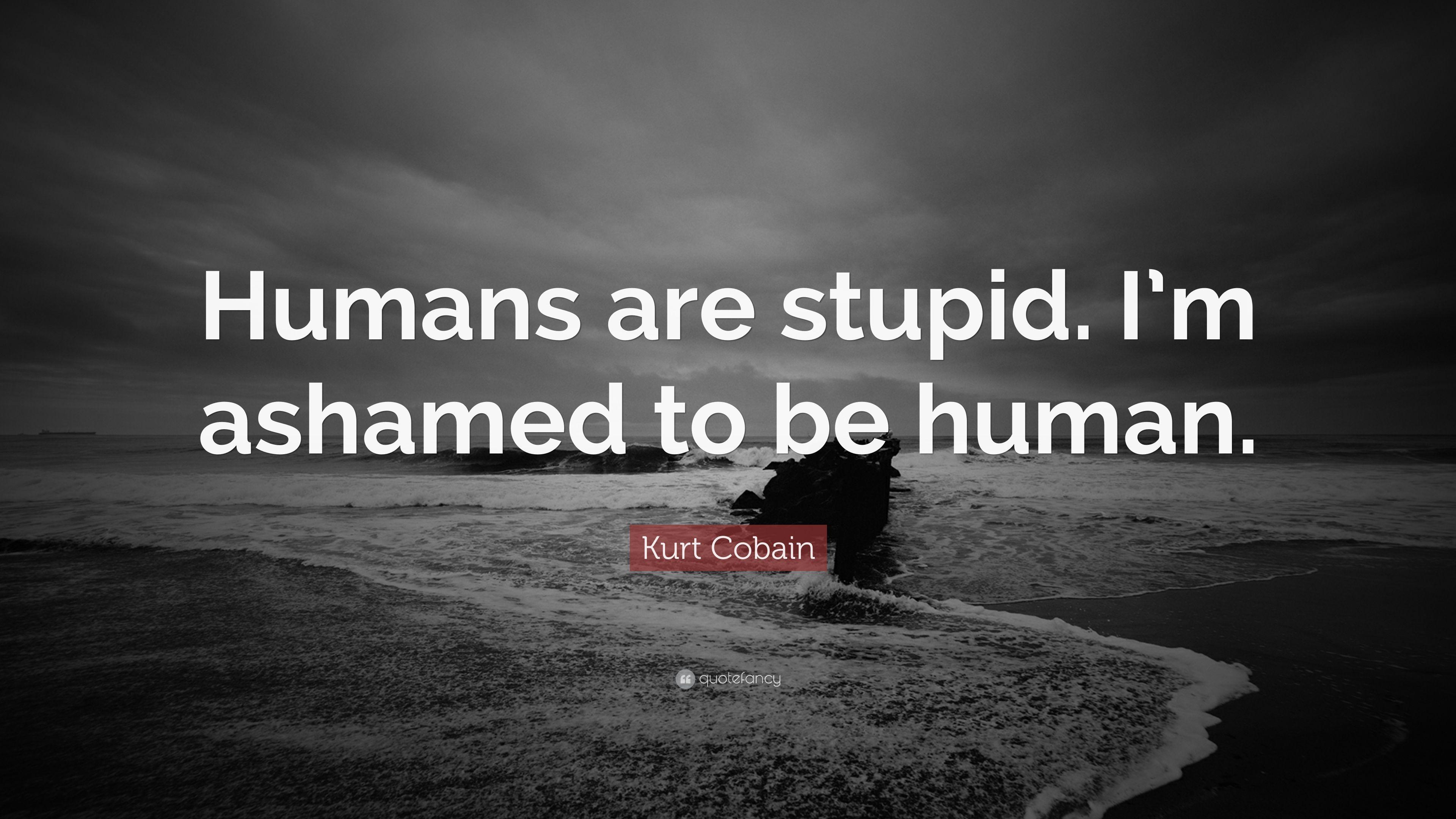 3840x2160 I'm Stupid Wallpaper .