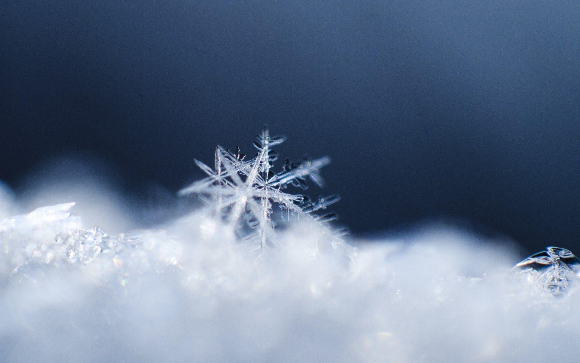 1920x1200 winter snow snowflakes macro. Snowflake wallpaper, Snowflakes, Mac wallpaper