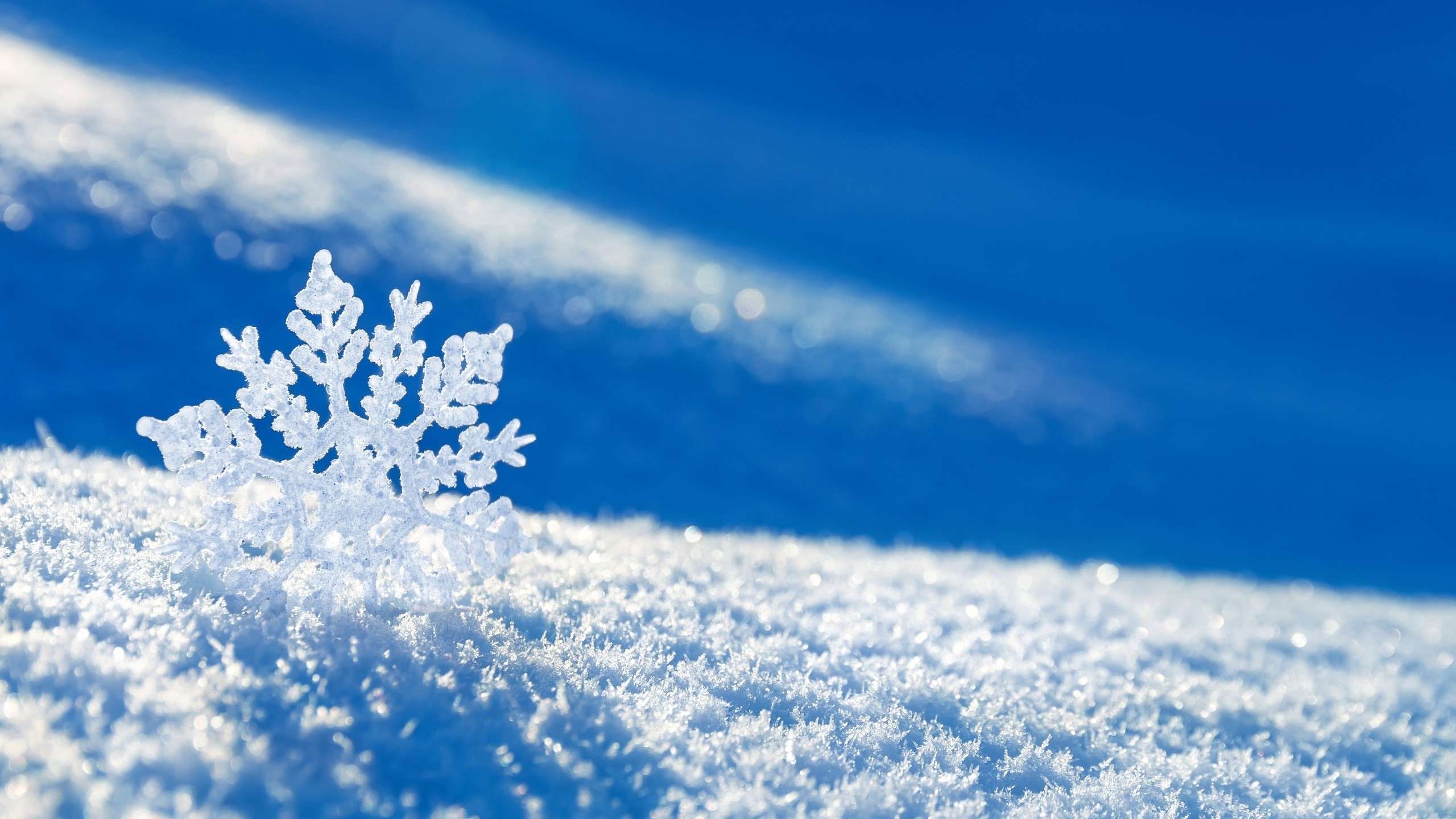 2560x1440 Beautiful Wallpaper Snowflake Winter Background