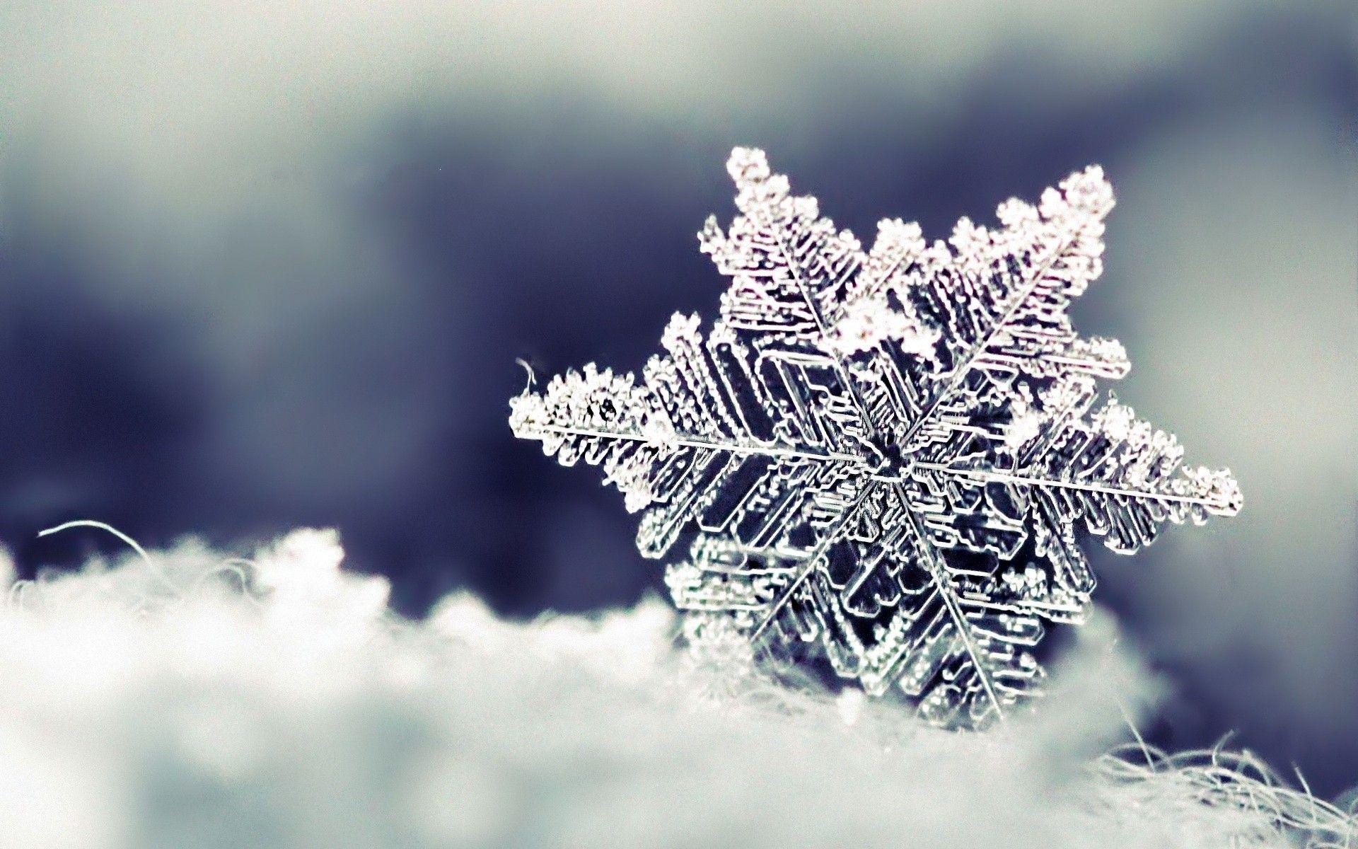 1920x1200 nature, snowflakes wallpaper