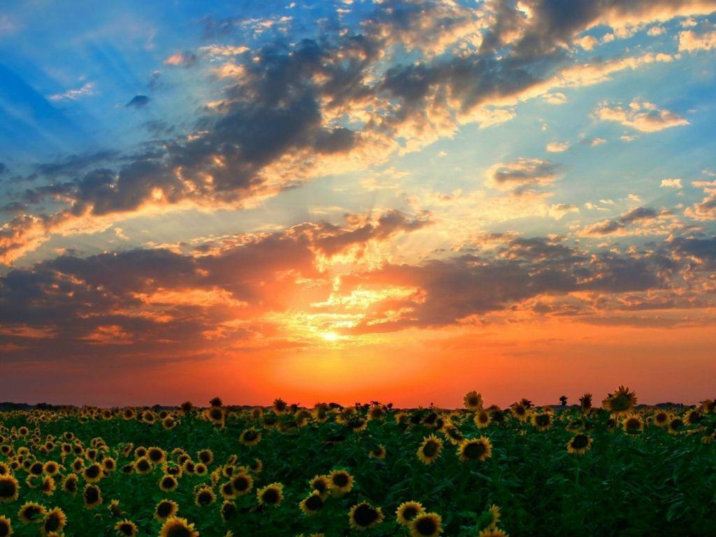 1024x768 Stunning Sunset Background Desktop HD wallpaper in 1024x768 resolution