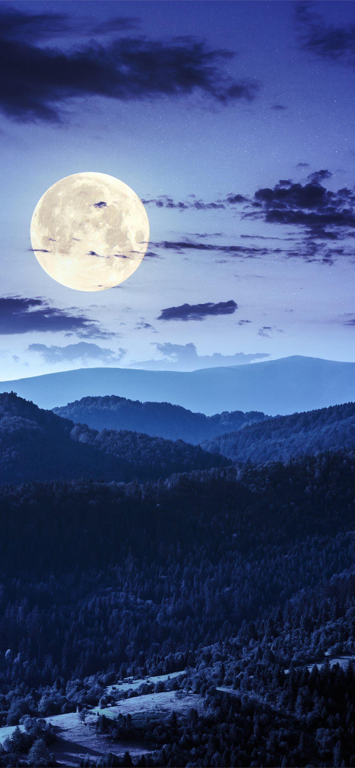 1242x2688 forest night moon clouds 4k iPhone X Wallpaper Free Download