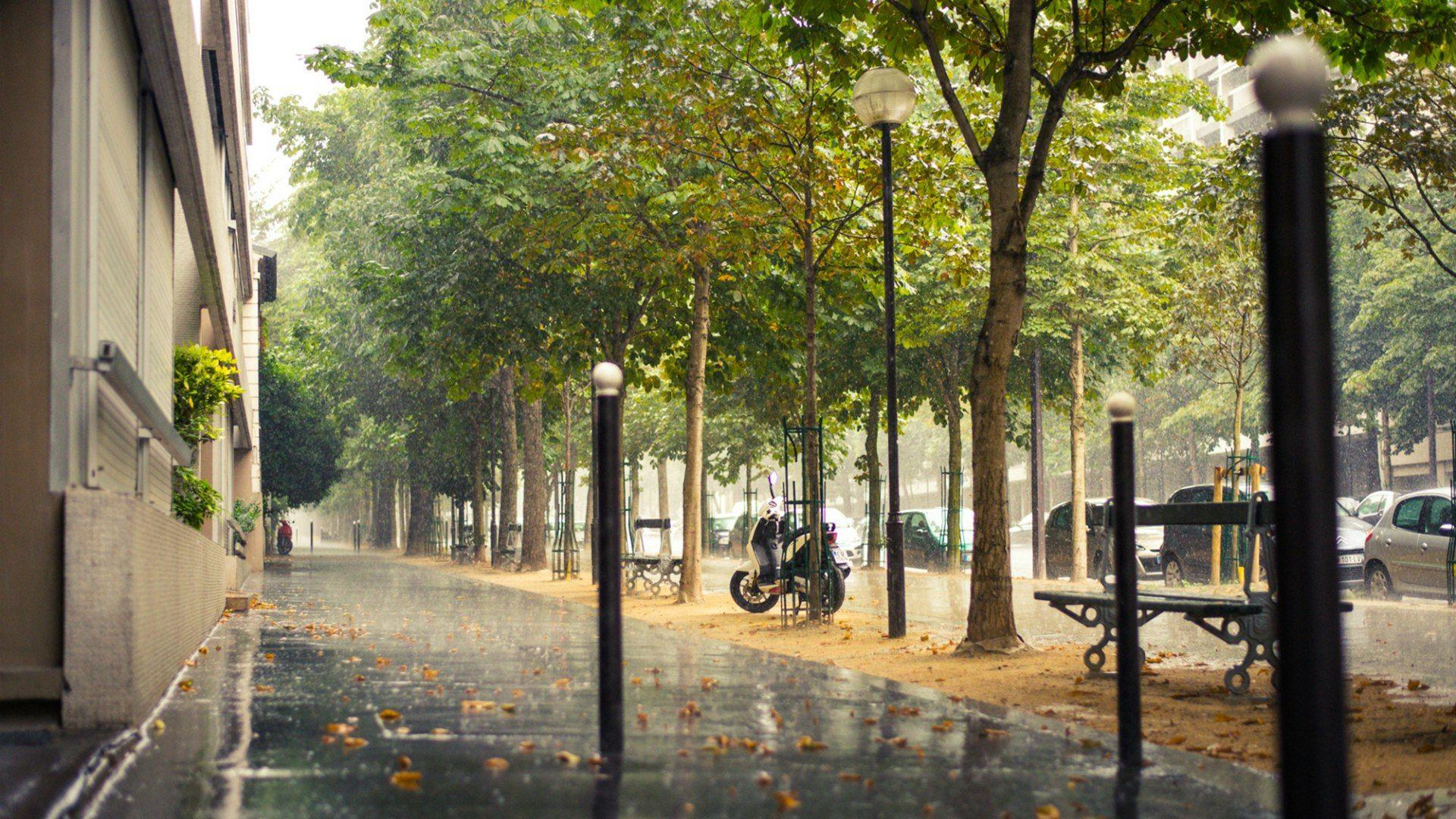 1920x1080 Street of Paris in the rain wallpaper and image