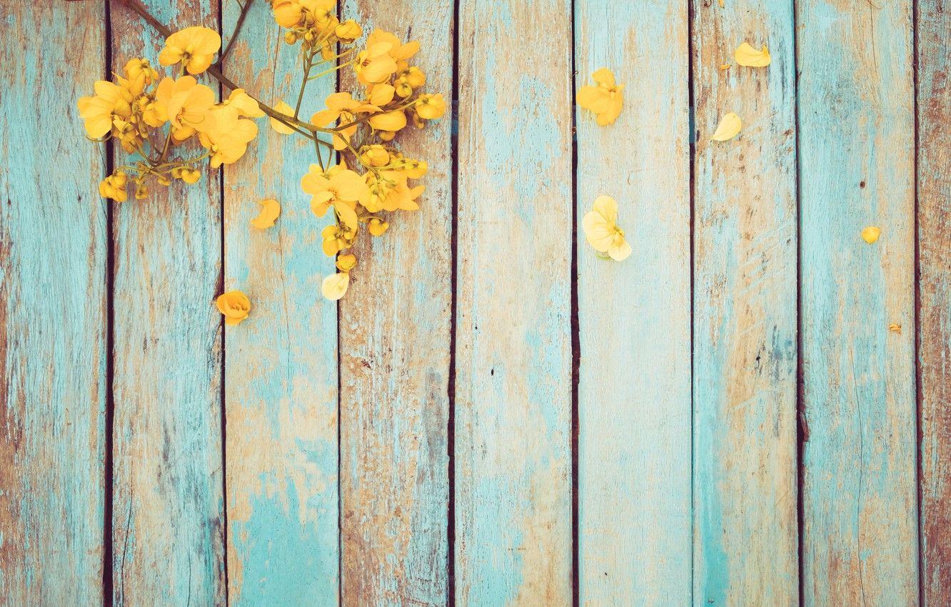 1332x850 Photo Wallpaper Flowers, Spring, Yellow, Vintage, Yellow, Wallpaper Yellow