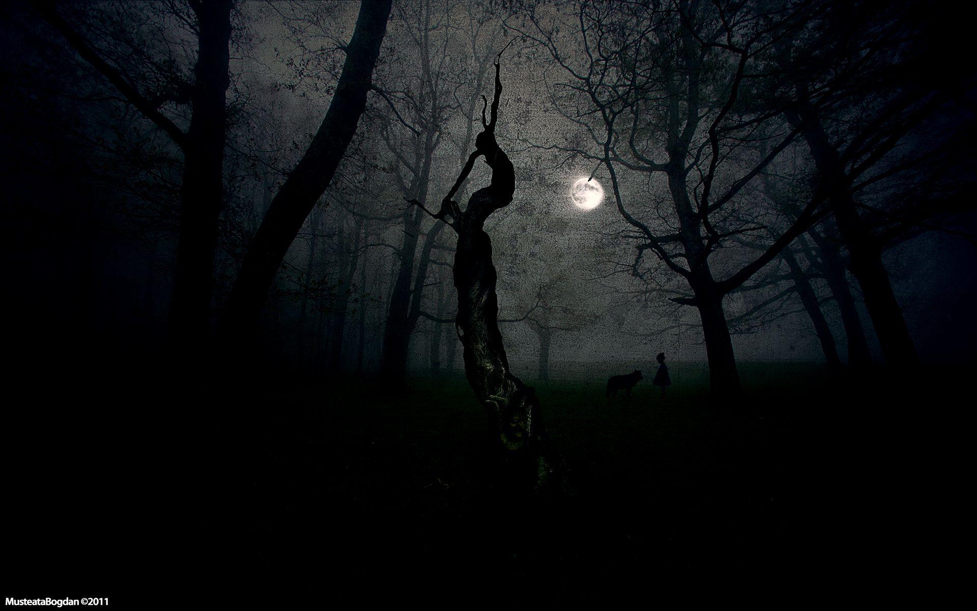 1920x1200 fairy tale // dark scene