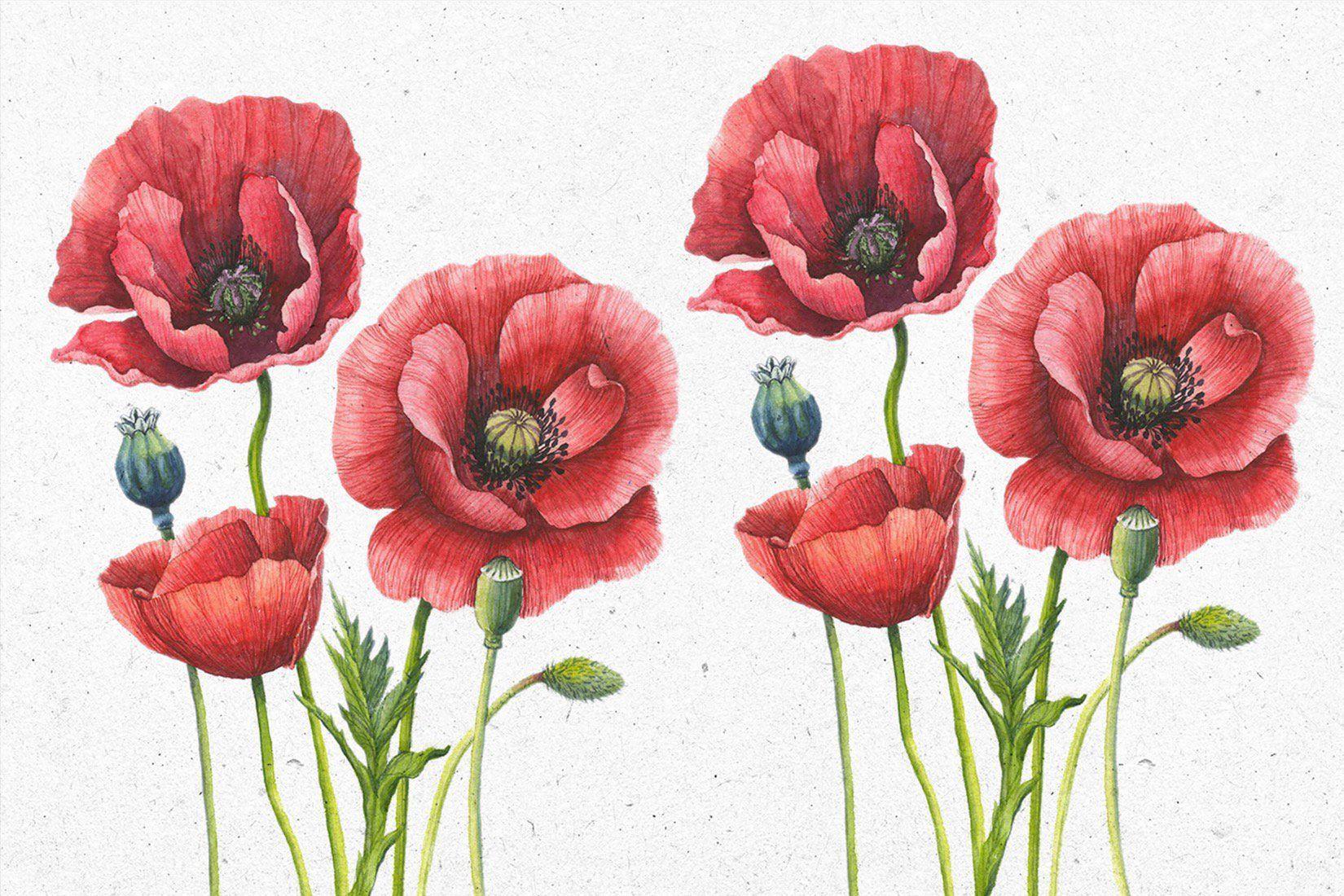 1650x1100 Vintage Floral Wallpaper. Pink, Purple & More. Murals Wallpaper. Poppy wallpaper, Vintage floral wallpaper, Large floral wallpaper