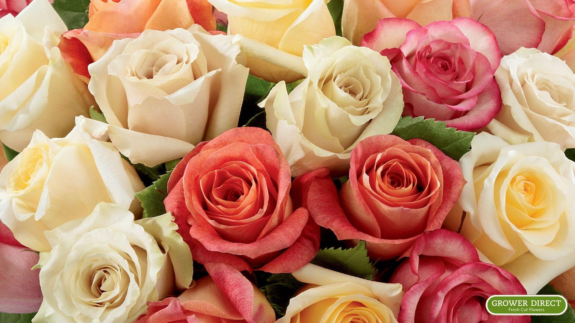 1920x1080 free widescreen HD desktop wallpaper (1920 x 1080). #roses. Flower desktop wallpaper, Calendar wallpaper, Desktop calendar
