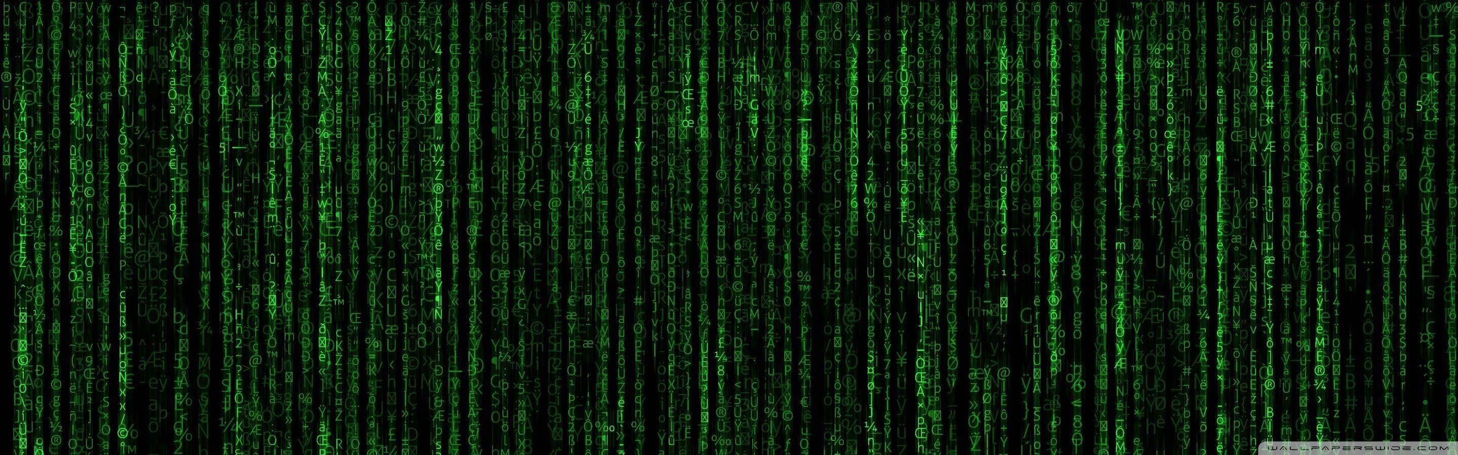 Top big screensaver: download matrix code screensaver desktop background