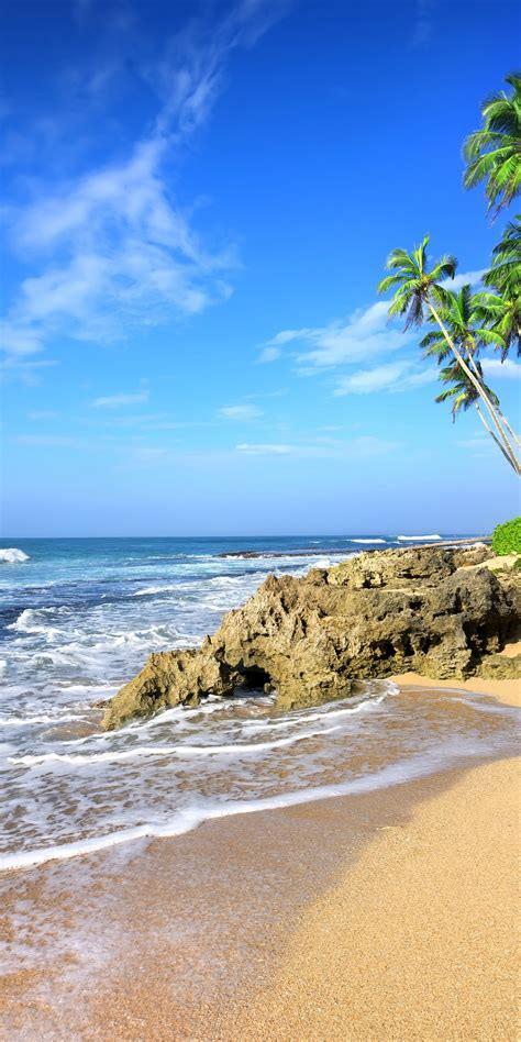 474x948 Tropical Waves Wallpaper .