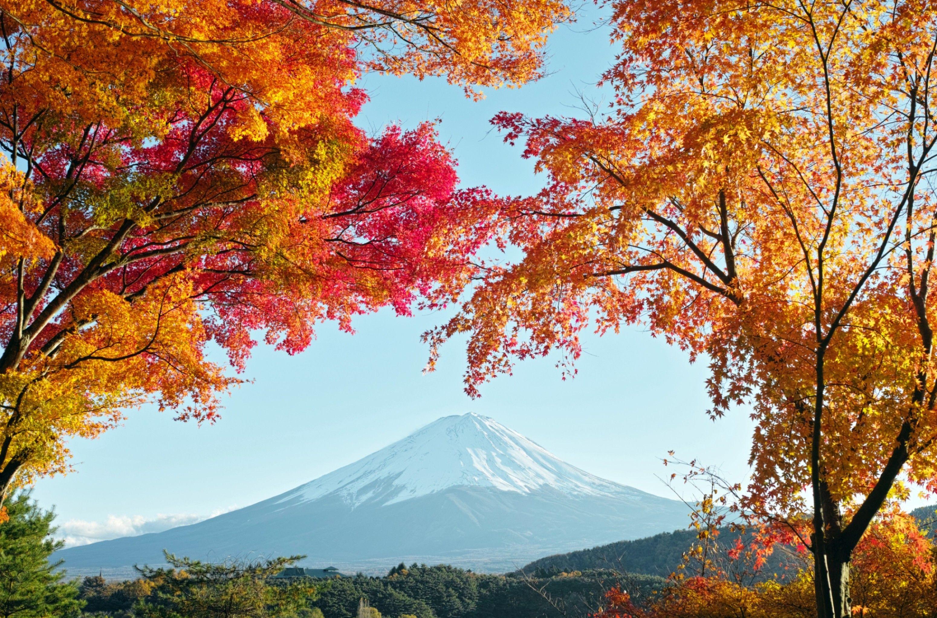 3100x2047 Japanese Autumn Wallpaper