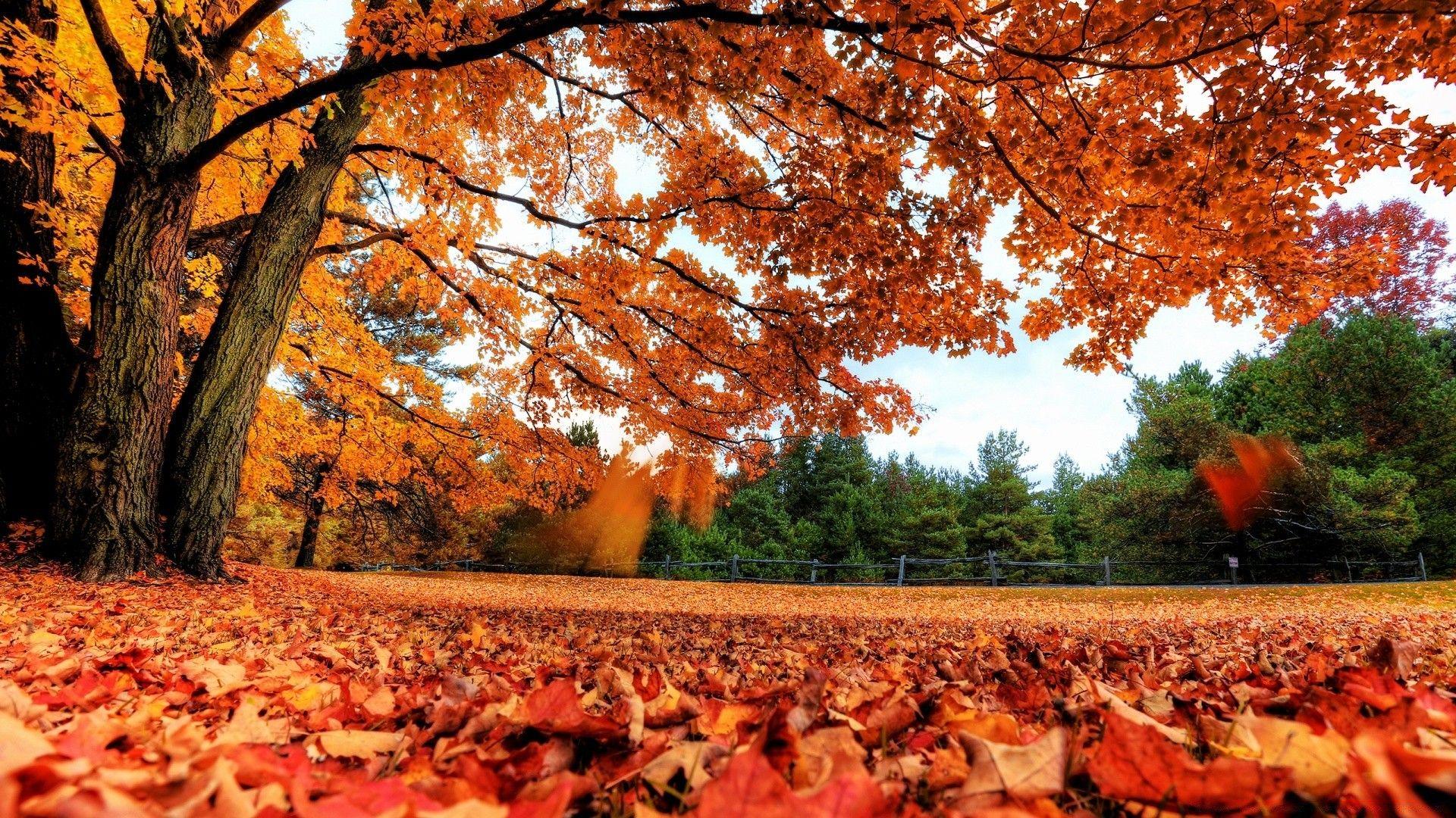 Autumn Country Wallpapers - Top Free Autumn Country Backgrounds ...