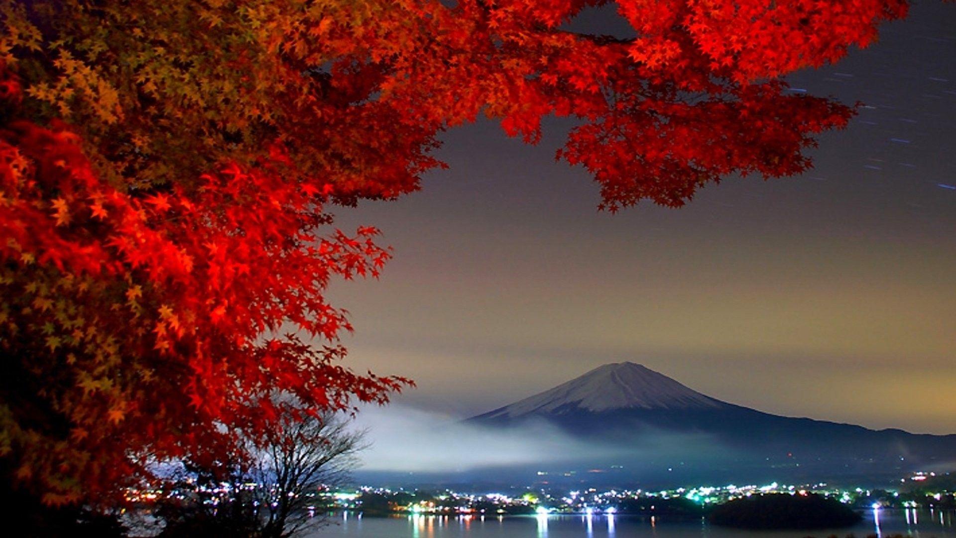1920x1080 28++ Japan Autumn HD Wallpaper