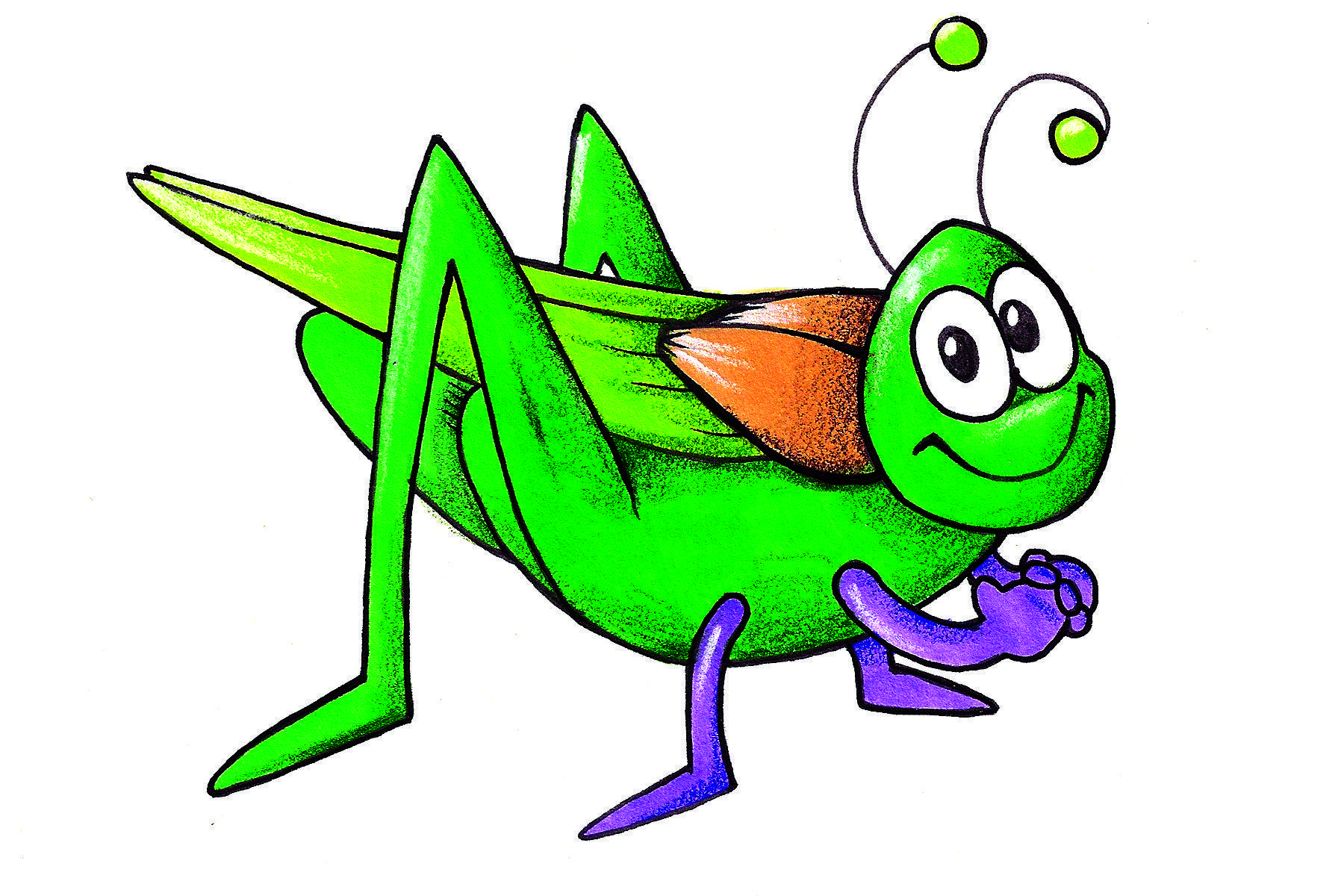 1800x1200 Free Cartoon Cricket Picture, Download Free Clip Art, Free Clip Art on Clipart Library