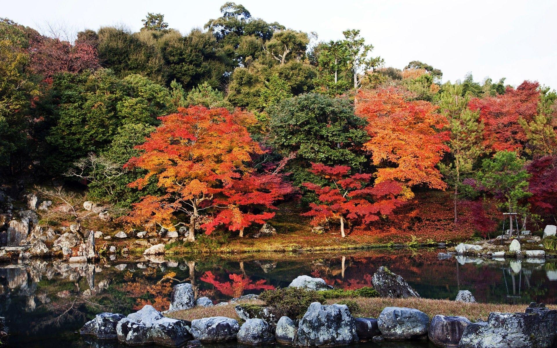 1920x1200 Autumn, Japan