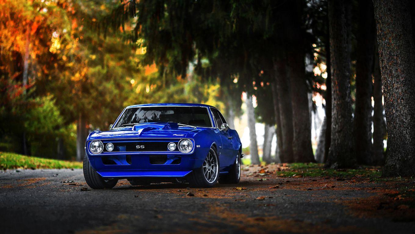 1360x768 Chevrolet Camaro SS Muscle Car Laptop HD HD 4k Wallpaper, Image, Background, Photo and Picture