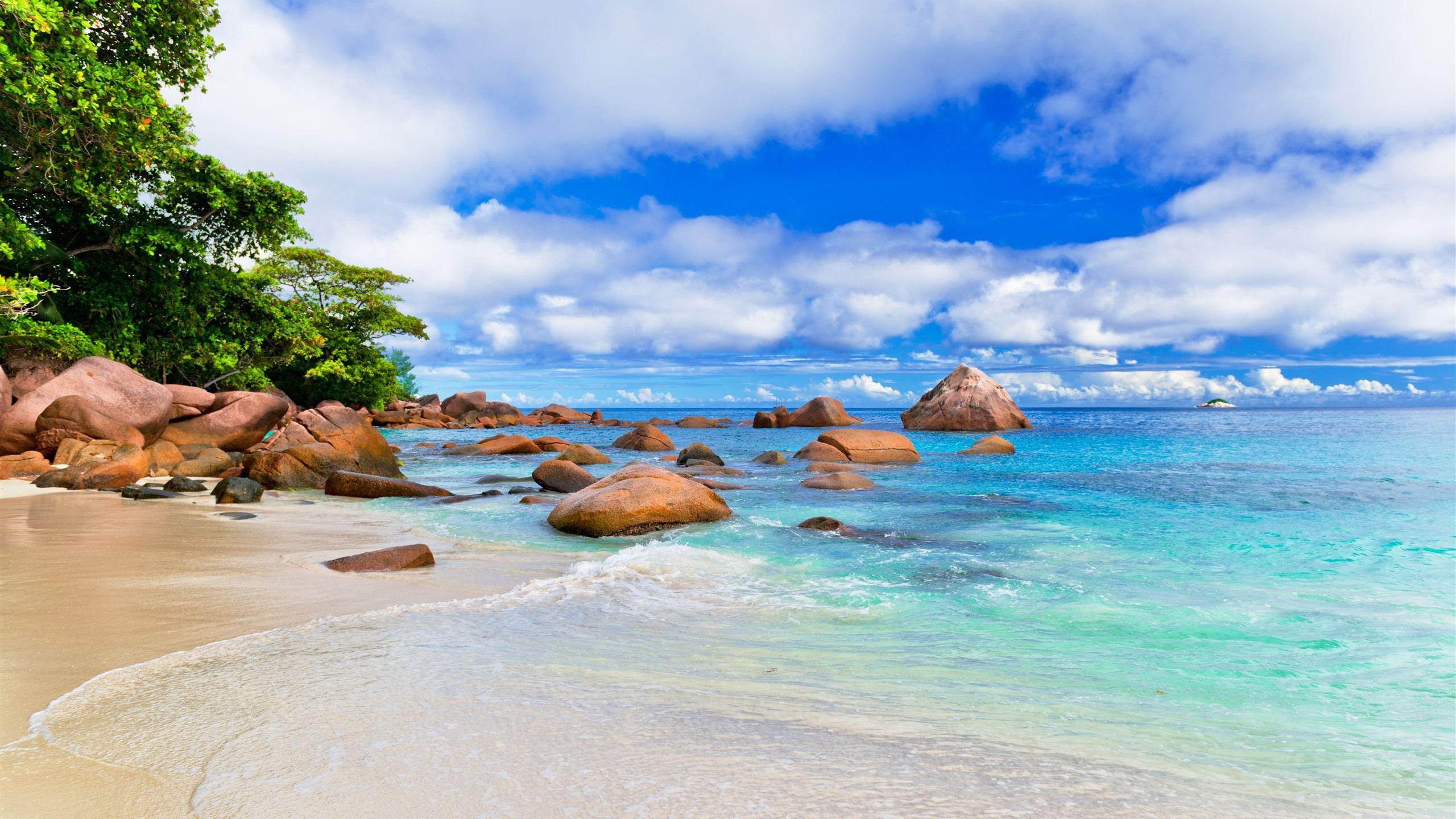 2560x1440 Wallpaper Tropical, island, trees, sea, waves, rocks, blue sky, clouds, paradise 5120x2880 UHD 5K Picture, Image