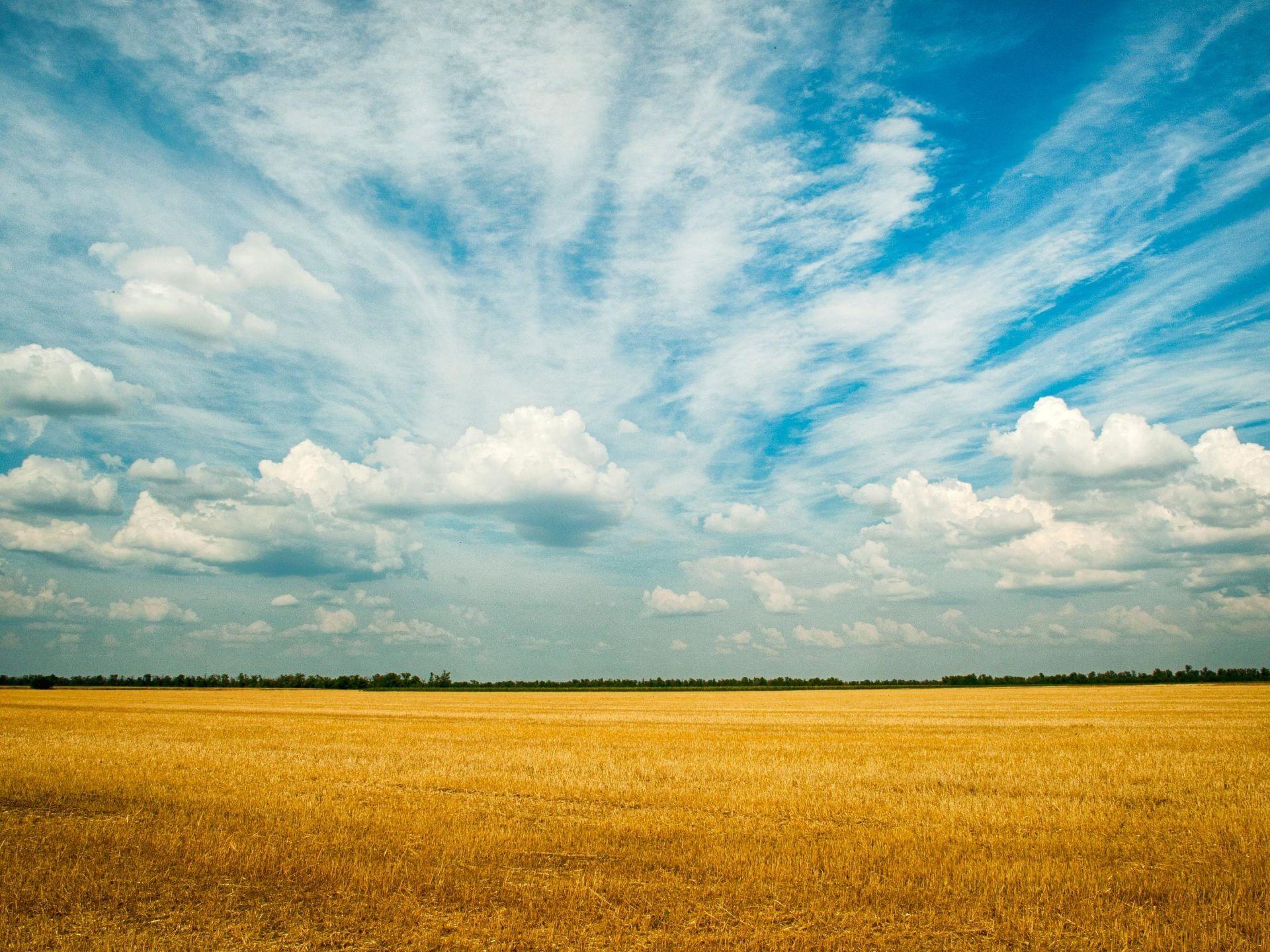 1920x1440 Wallpaper 4k Yellow Grass Field 4k 4k Wallpaper, Farm Wallpaper, Field Wallpaper, Grass Wallpaper, Hd Wallpaper, Nature Wallpaper