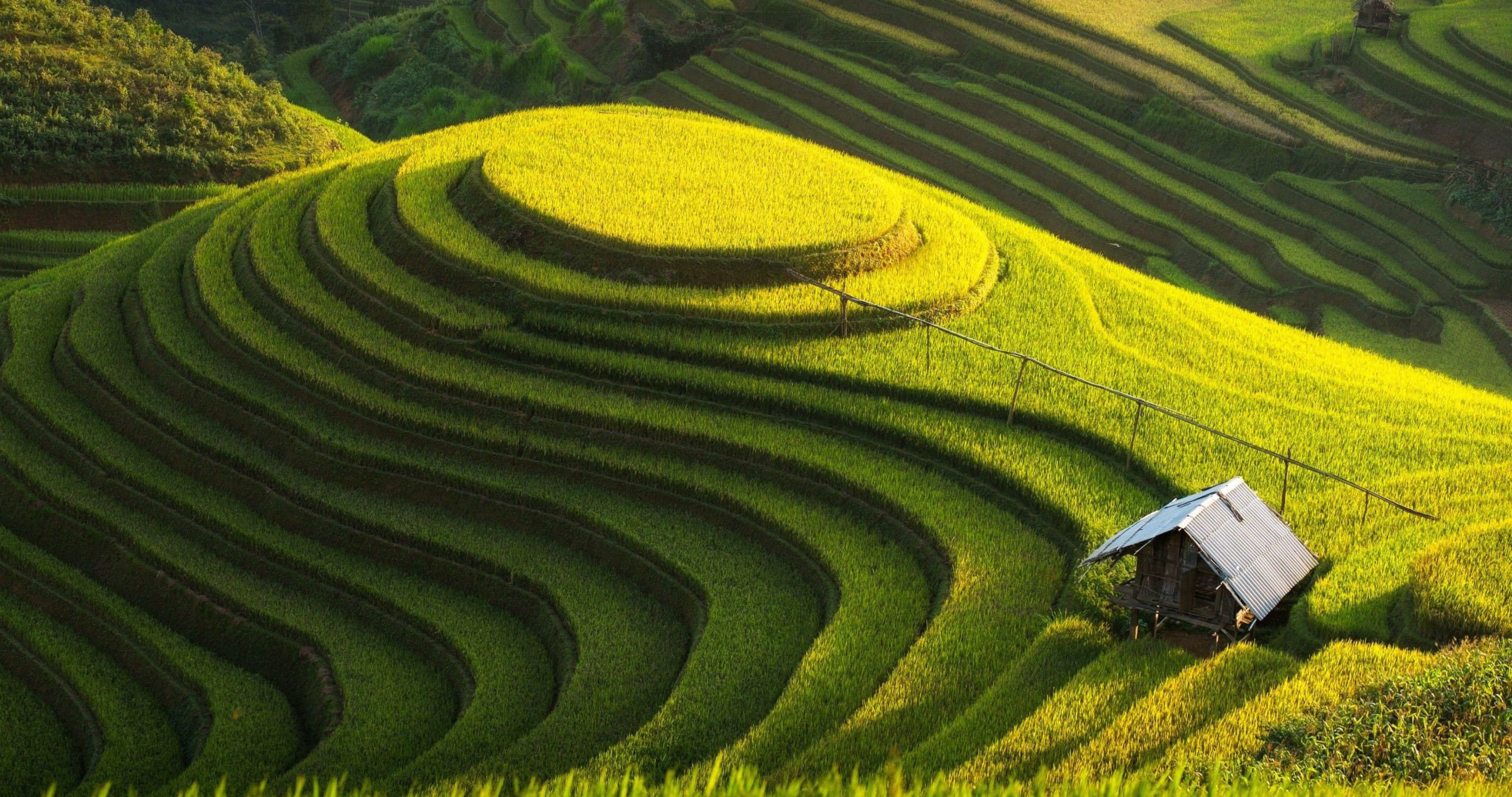 Farm Field Nature 4K Wallpapers - Top Free Farm Field Nature 4K