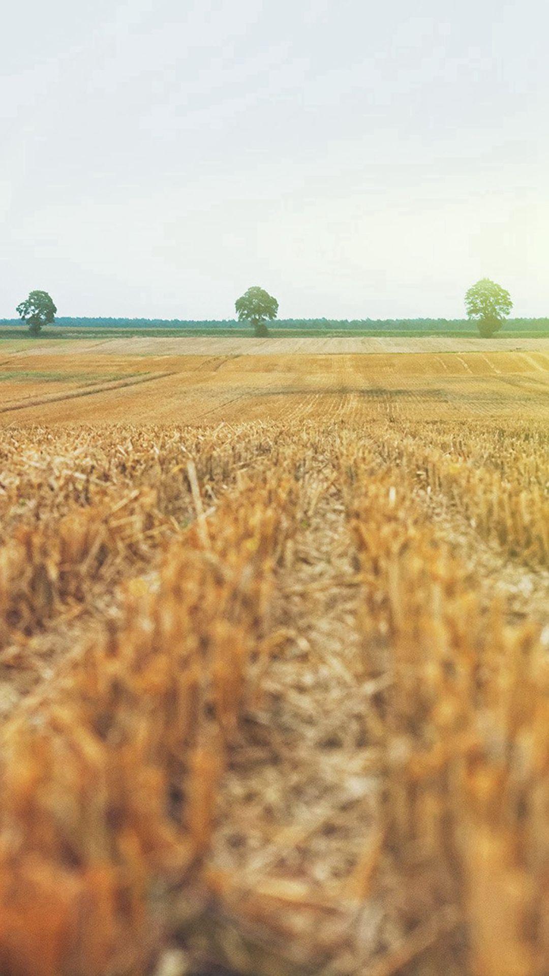 1080x1920 iPhone XR Agriculture Wallpaper