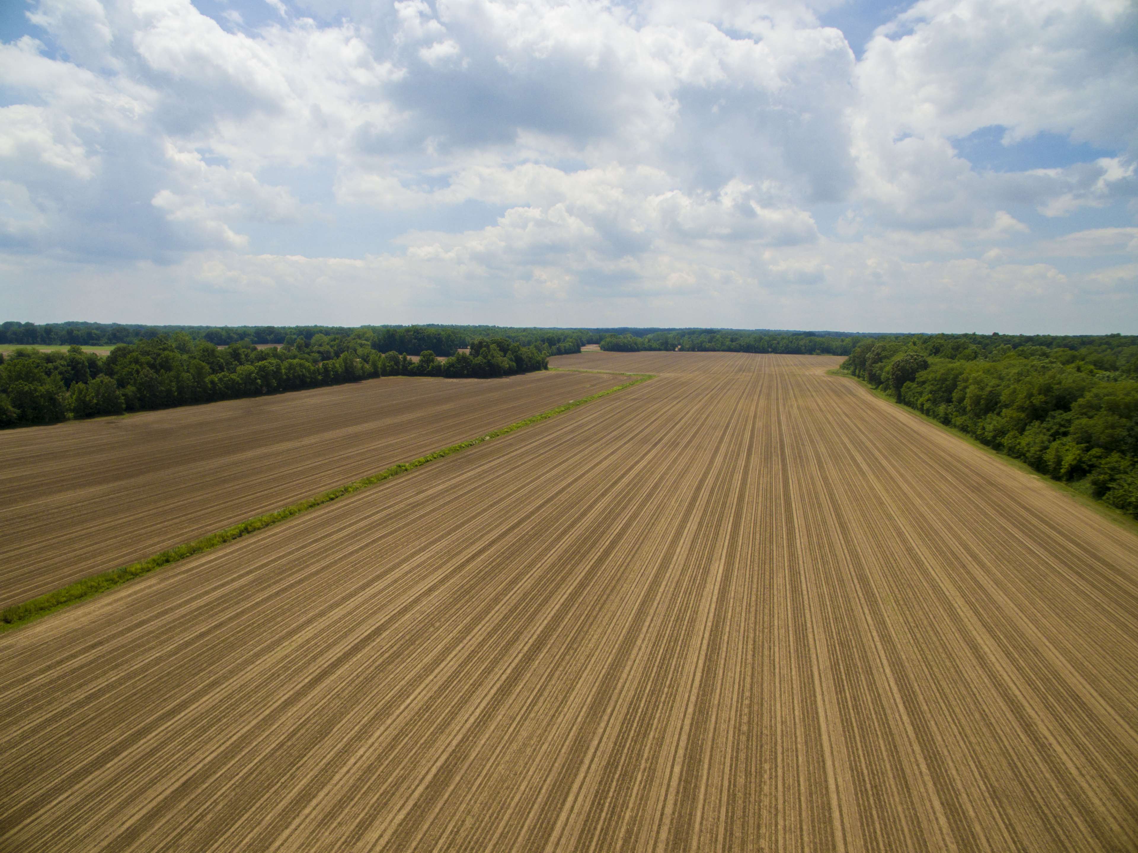 Farm Field Nature 4K Wallpapers - Top Free Farm Field Nature 4K ...