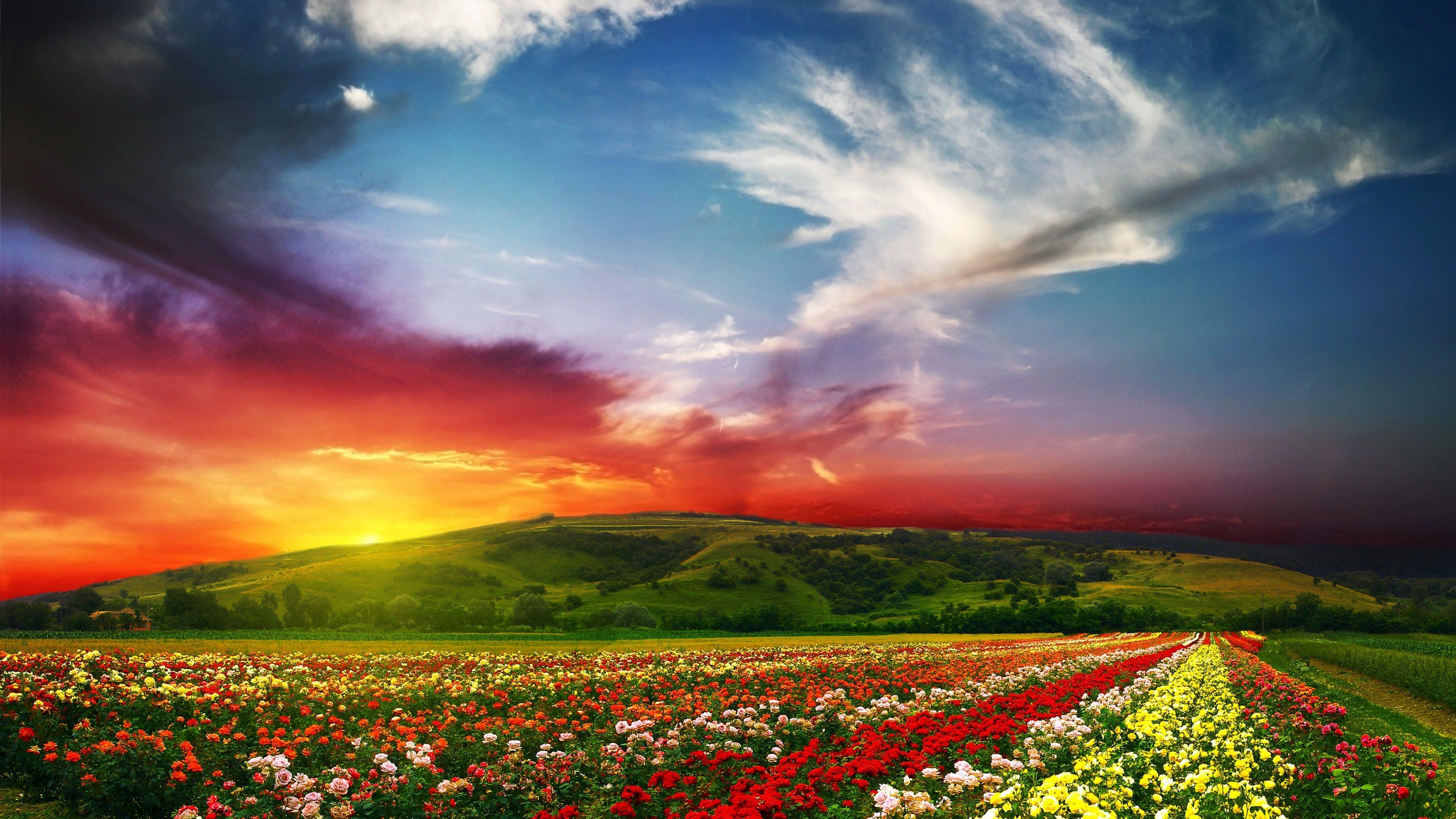 3840x2160 Wallpaper India, 5k, 4k wallpaper, Valley of Flowers, Meadows, roses, sunset, clouds, Nature