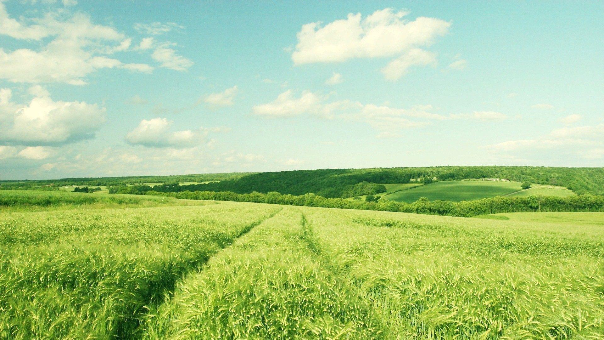 1920x1080 Beautiful Farm Wallpaper