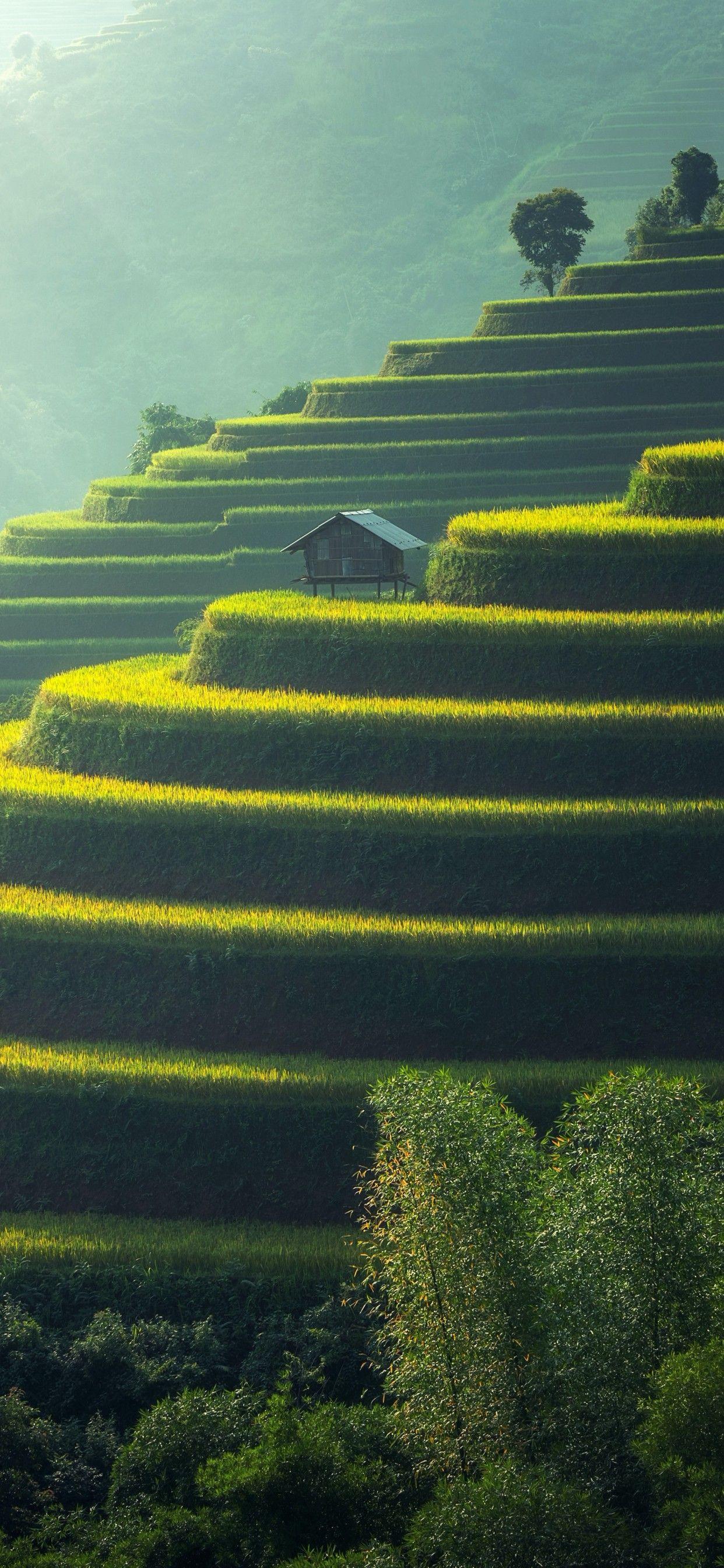 Farm Field Nature 4K Wallpapers - Top Free Farm Field Nature 4K