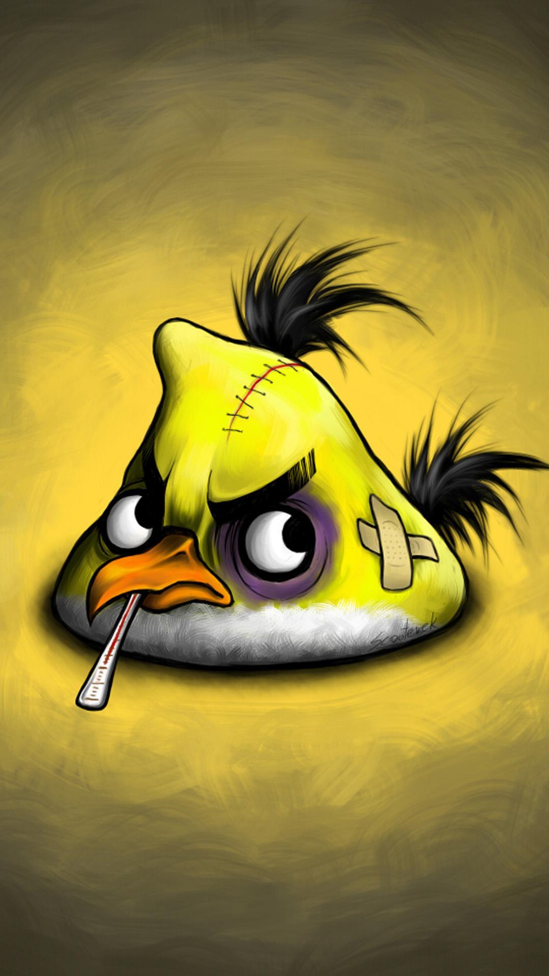 1080x1920 Birds Phone Wallpaper
