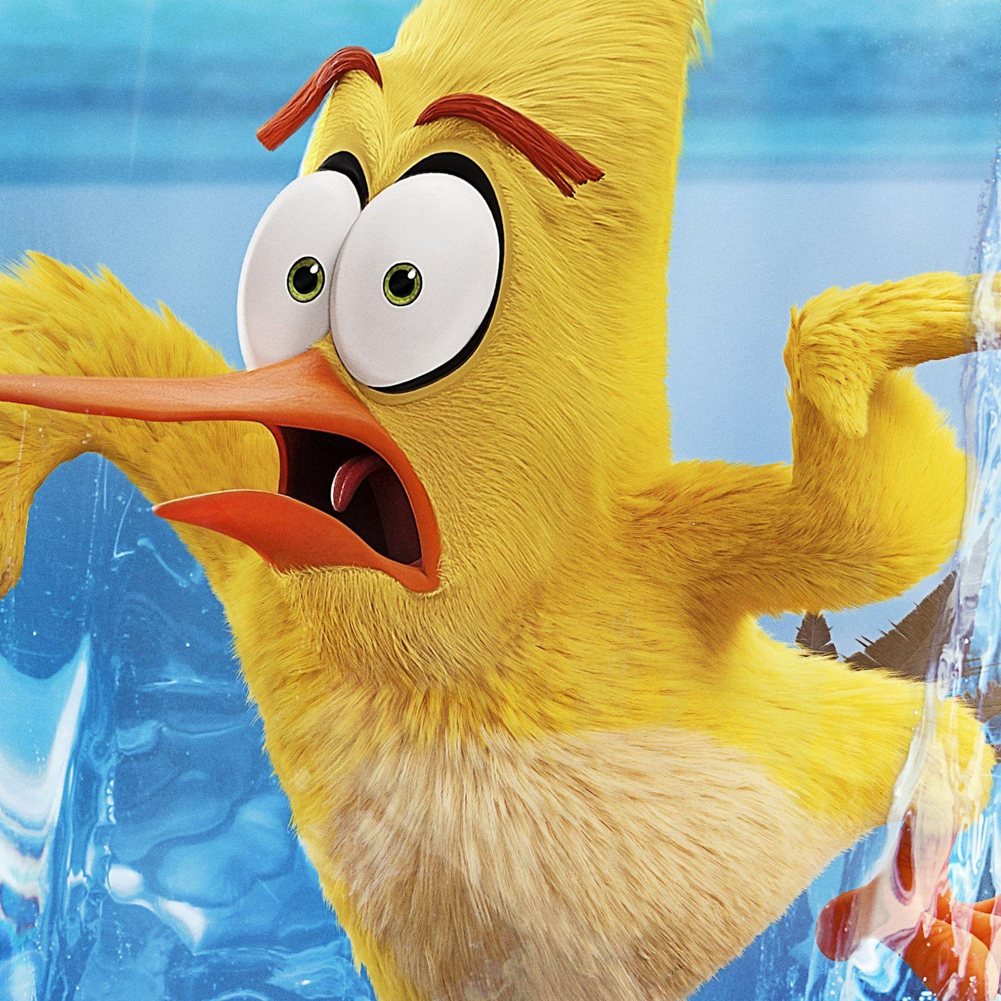 2048x2048 Yellow The Angry Birds Movie 2 2019 iPad Air HD 4k Wallpaper, Image, Background, Photo and Picture