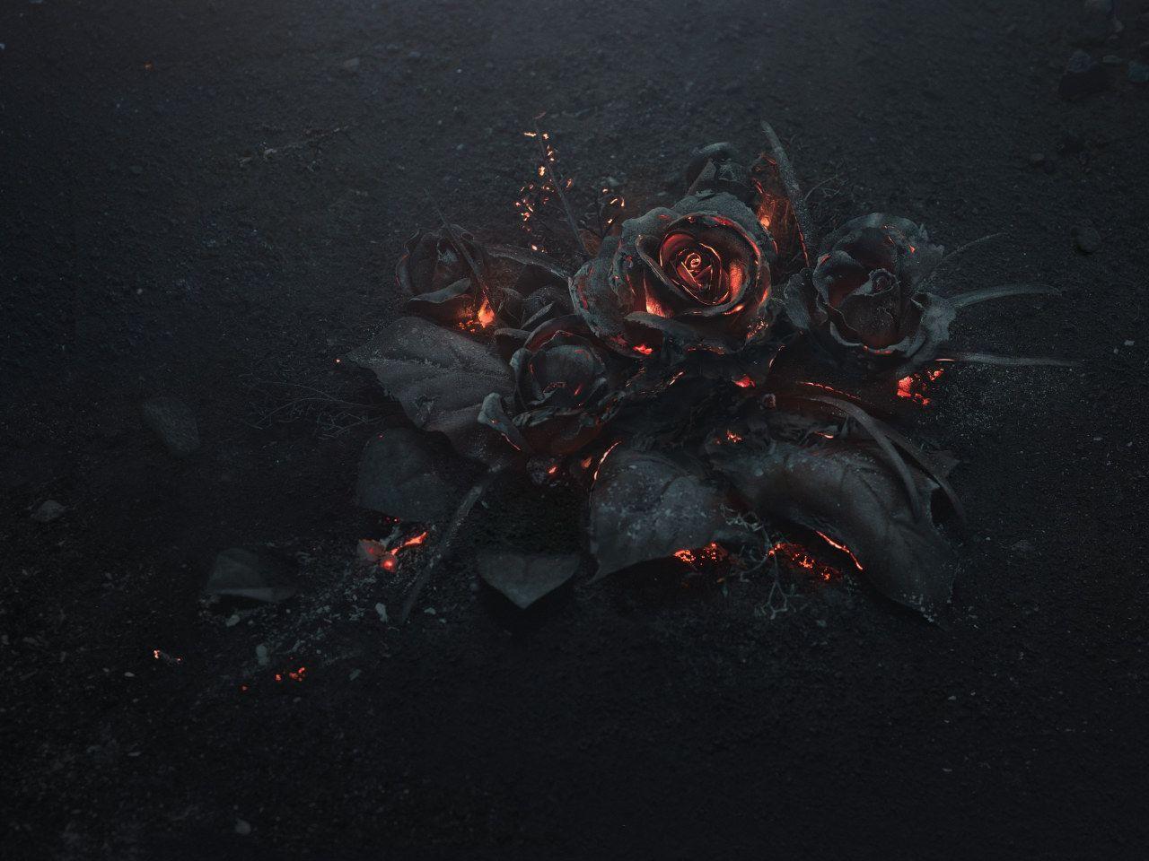 1280x960 Wallpaper black rose illustration, ash, burning, abstract, dark, flowers • Wallpaper For You HD Wallpaper For Desktop & Mobile