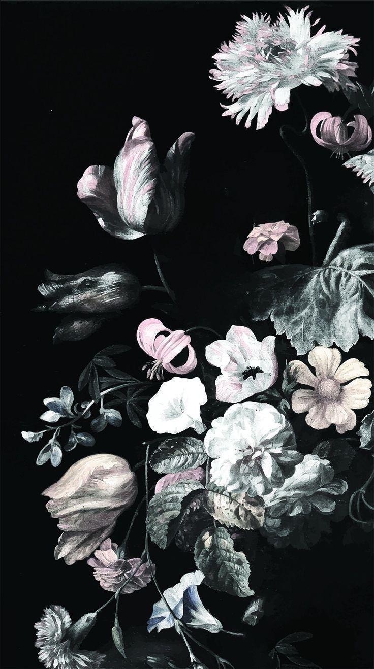 736x1318 Black and White Flower Desktop Wallpaper .