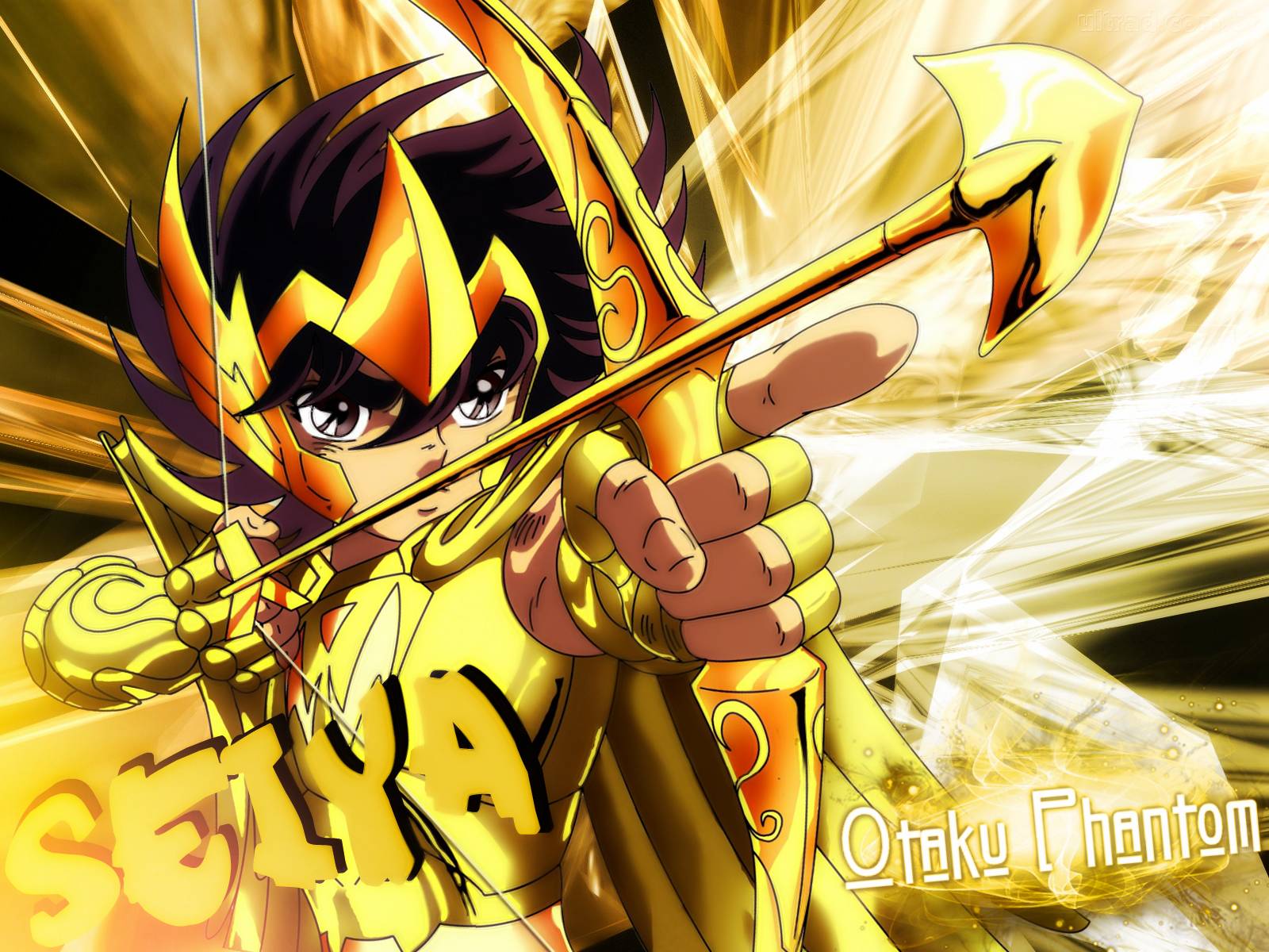 1600x1200 Pegasus Seiya Wallpaper