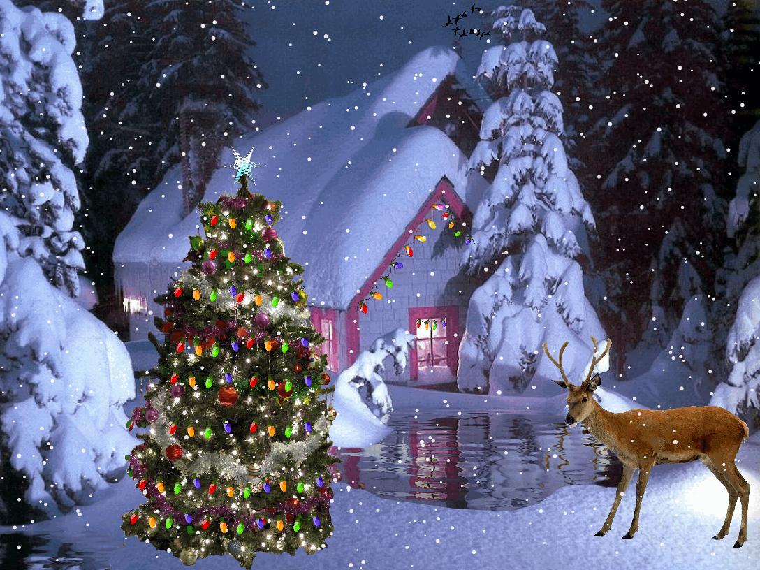 1088x816 Zedge Christmas Wallpaper