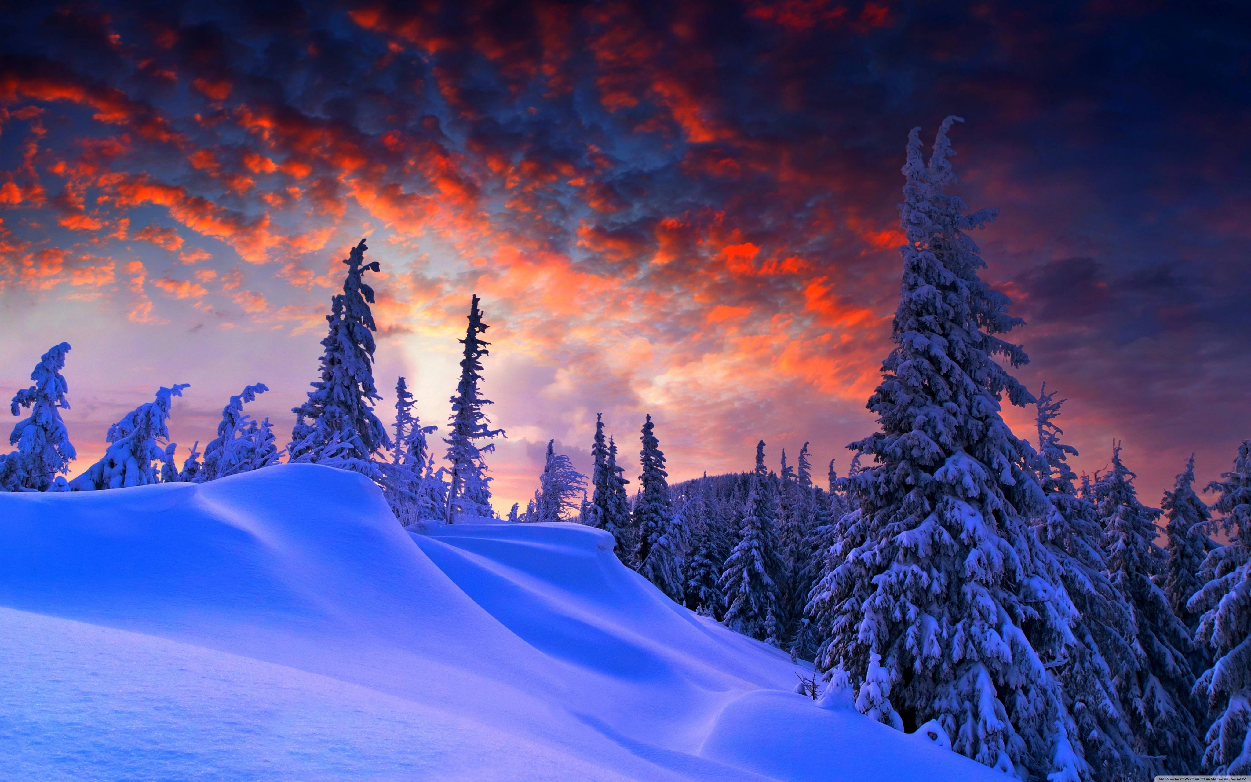 4096x2560 Christmas Winter Background