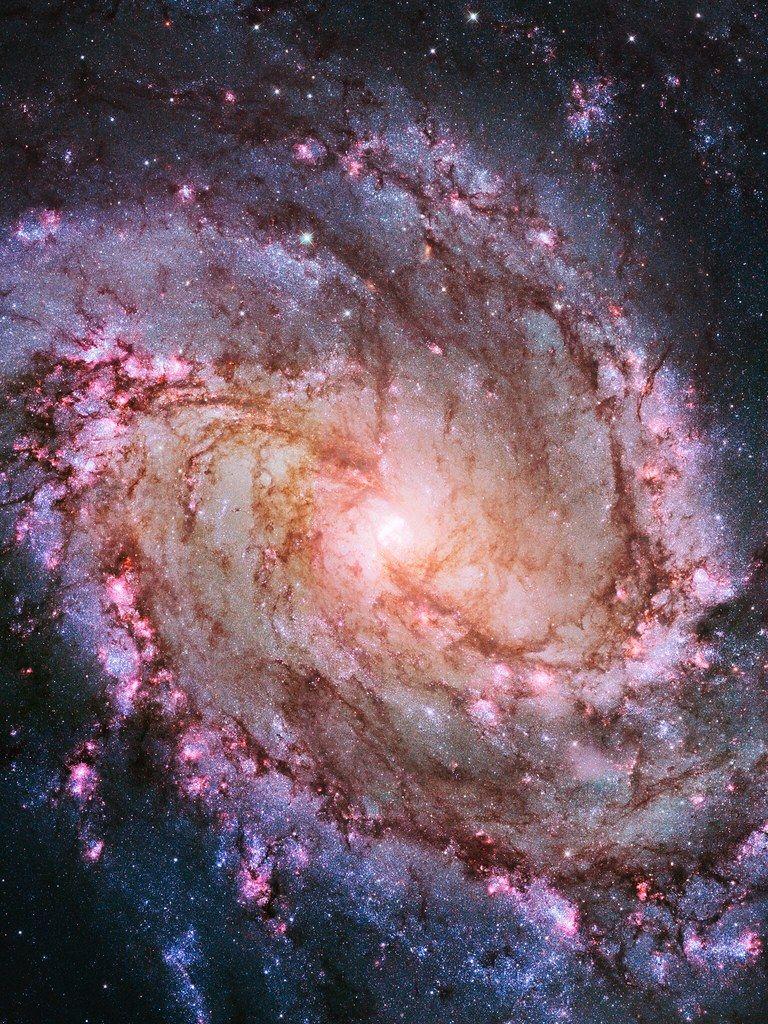 768x1024 Southern Pinwheel Galaxy 1 Wallpaper. Hubble Space Telescop