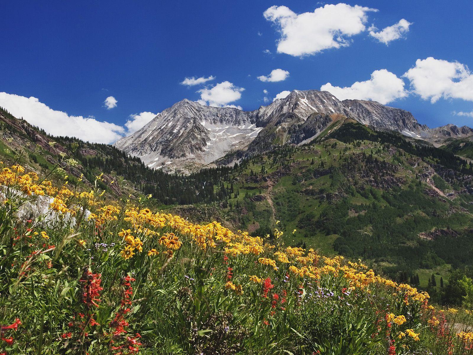 1600x1200 Free download Catering Me Spring Fever Catersource Philly Events [1600x1200] for your Desktop, Mobile & Tablet. Explore Colorado Mountains Computer Wallpaper. Colorado Wallpaper for Computer, Denver Mountains Wallpaper, Colorado