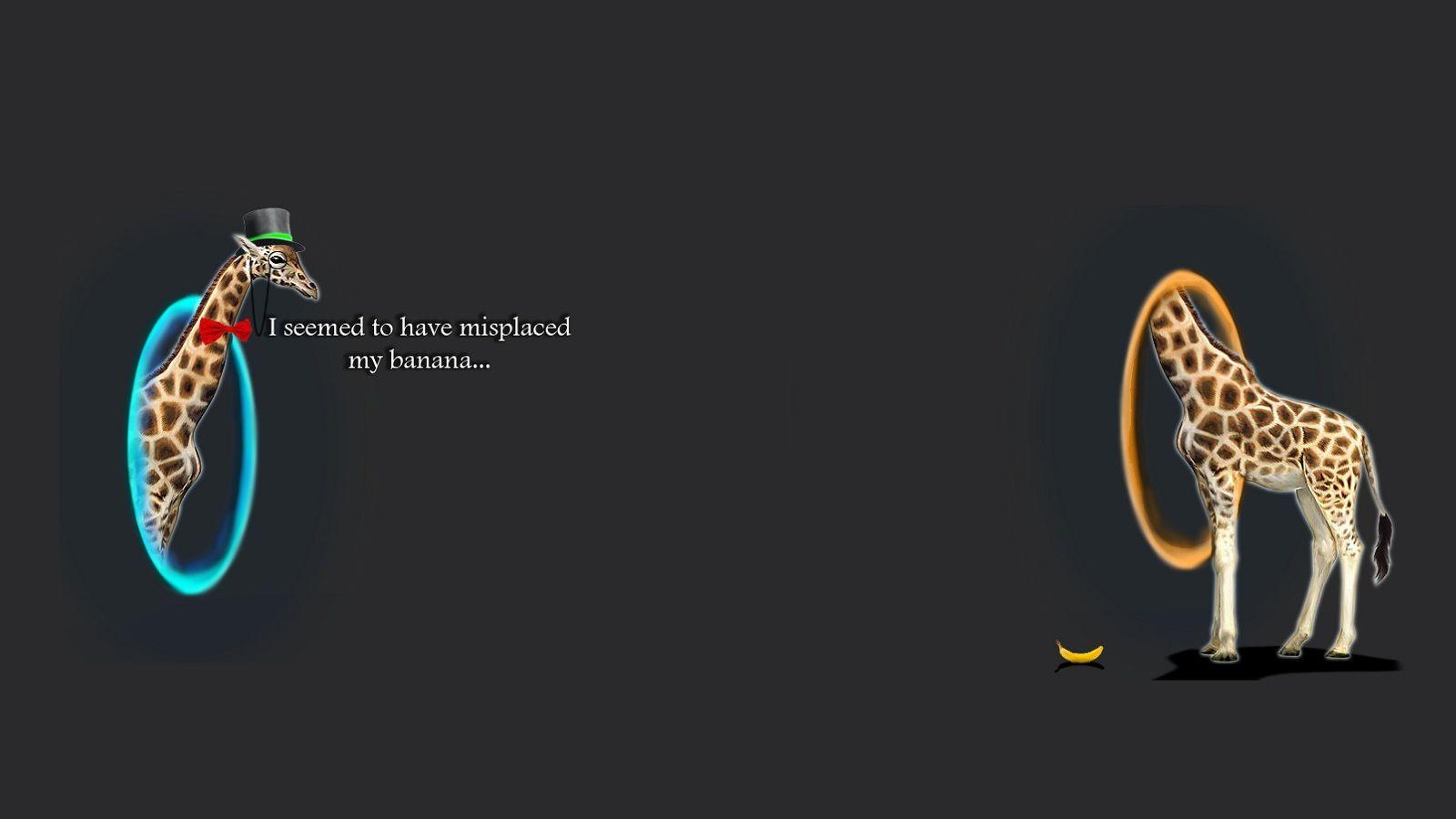 1600x900 Funny Wallpaperx900