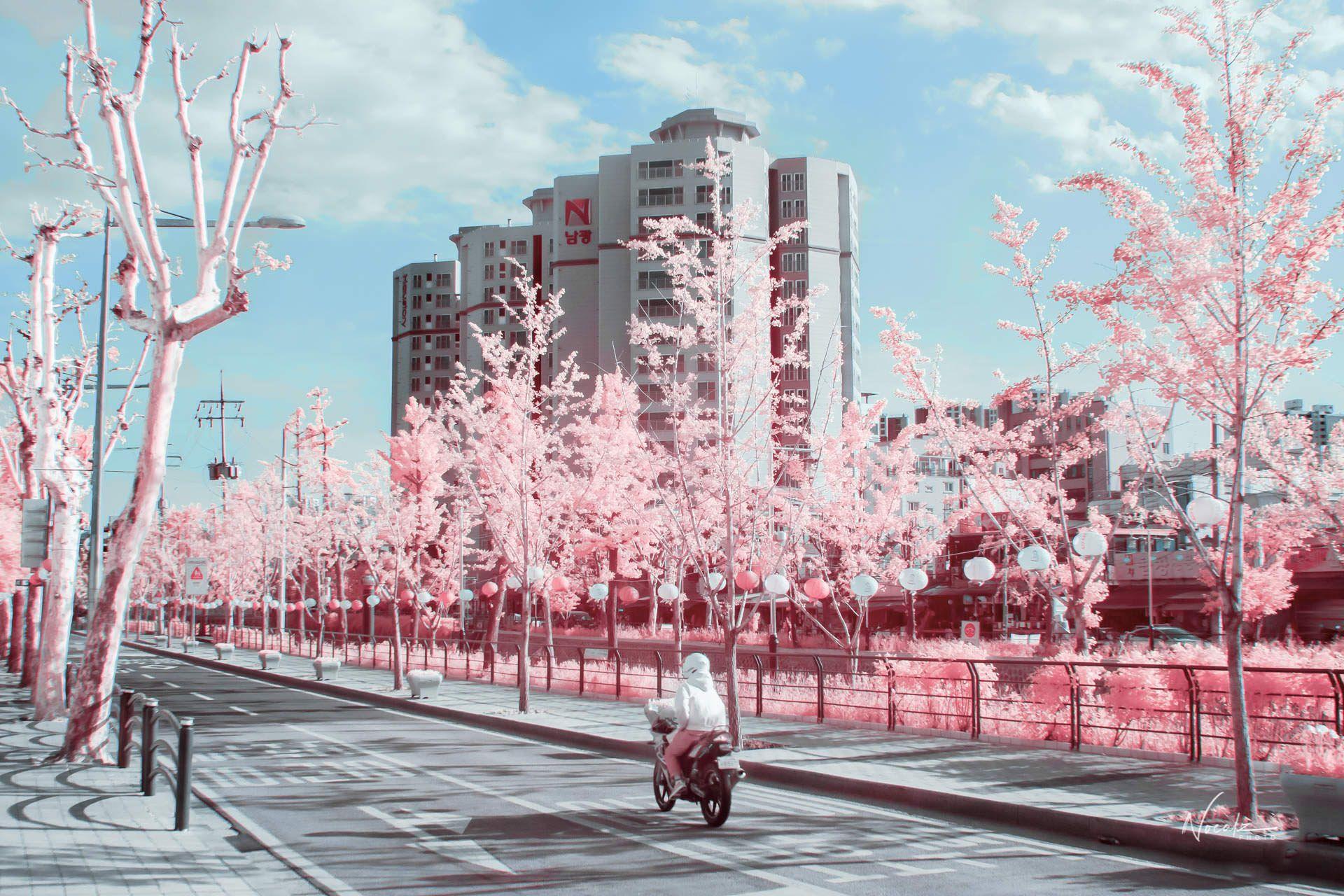 1920x1280 Aesthetic Seoul Wallpaper