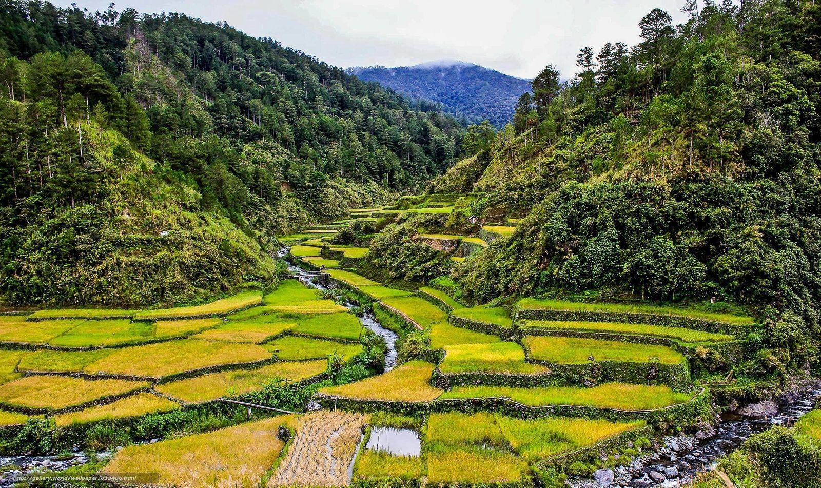 Philippines Rice Wallpapers - Top Free Philippines Rice Backgrounds