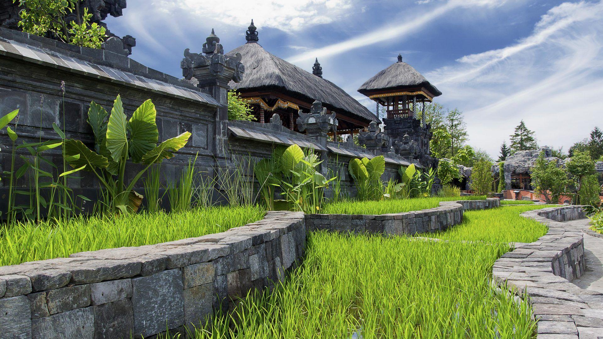 1920x1080 Terraces Tag wallpaper: Sunny Rice Fields Roofs Paddies Zoo Tatched