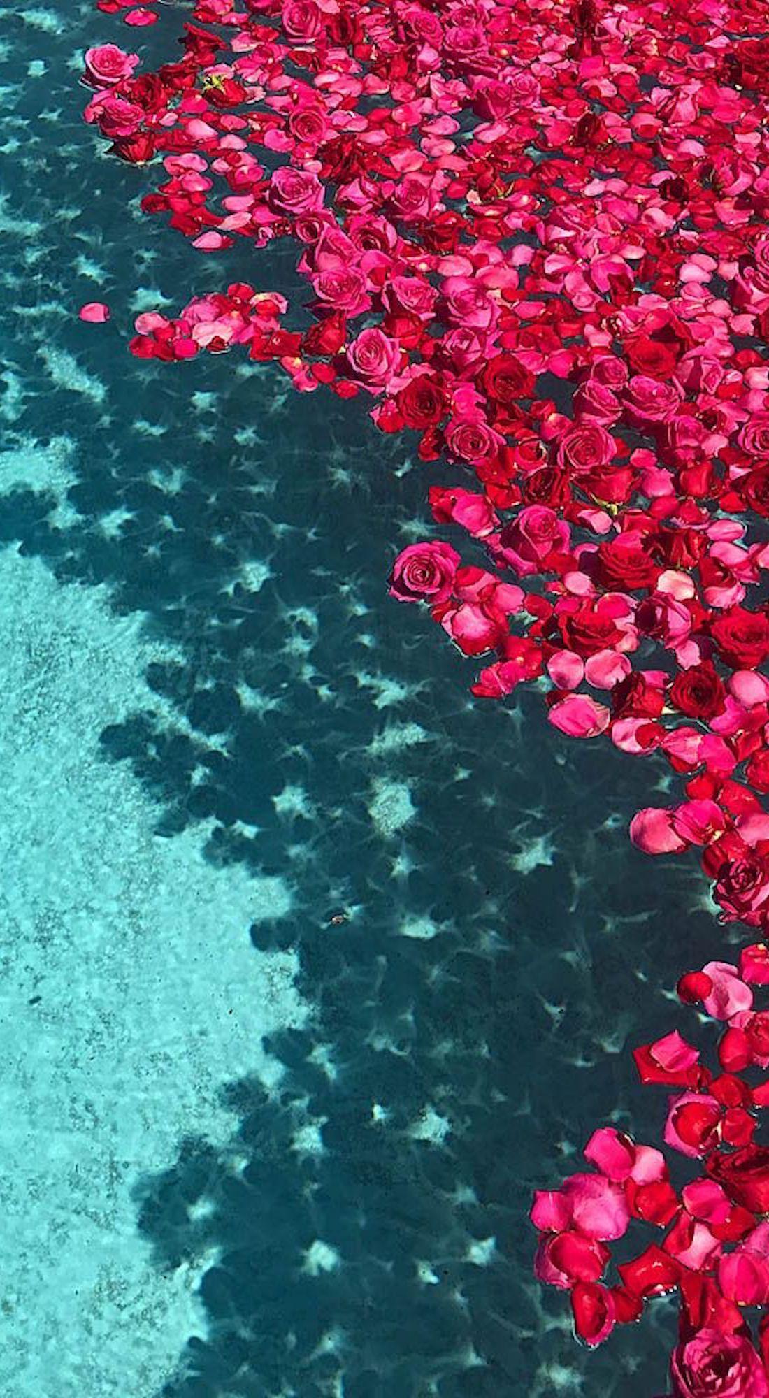 1100x2000 Beautiful Wallpaper For Phone