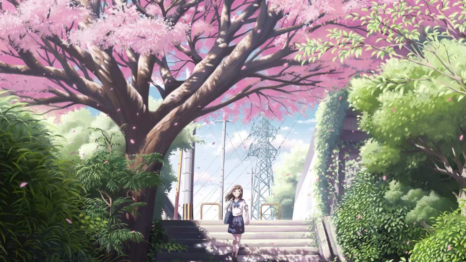 1920x1080 Anime Tree Wallpaper