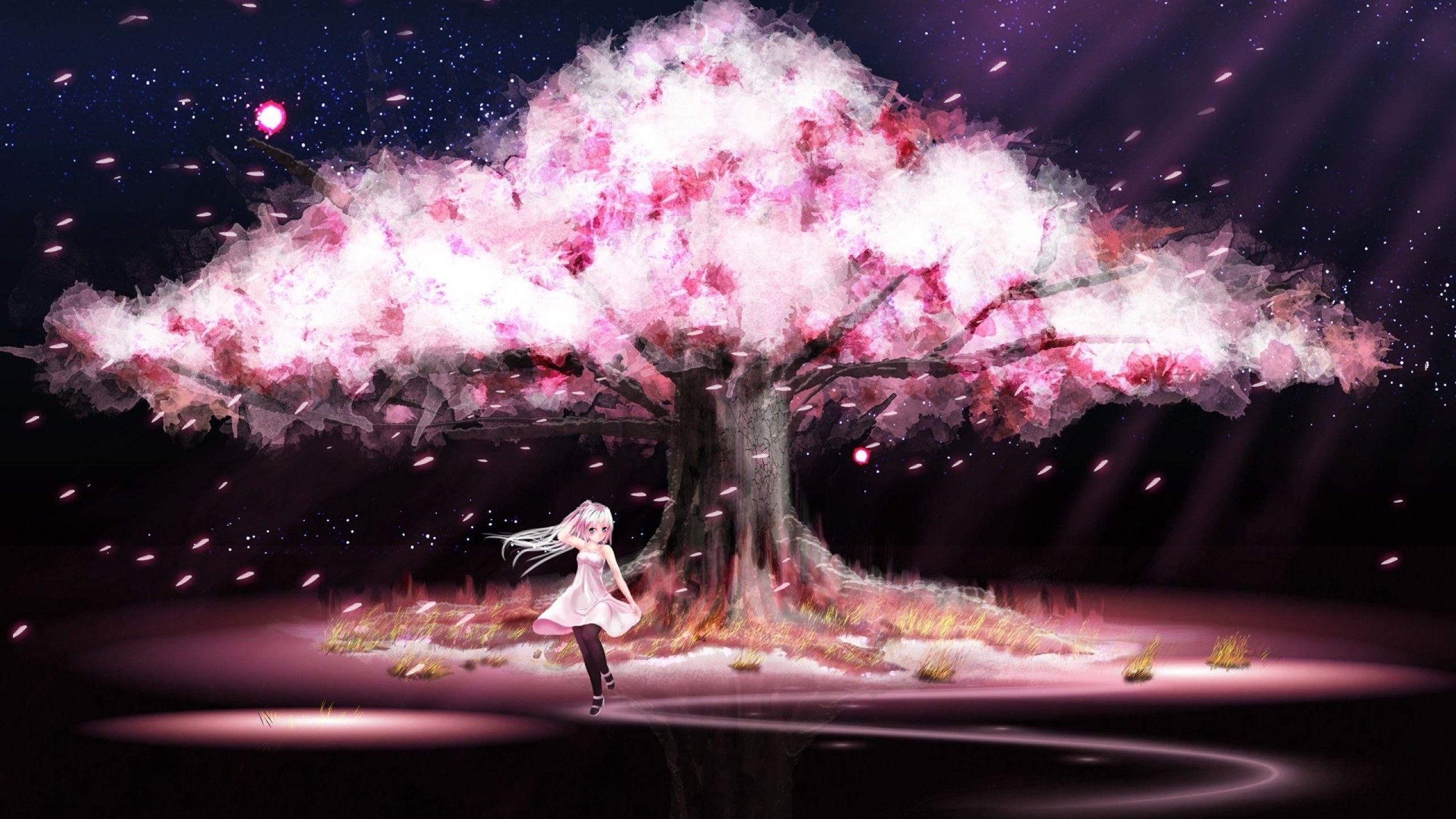 2560x1440 27++ Wallpaper Anime Cherry Blossom Background