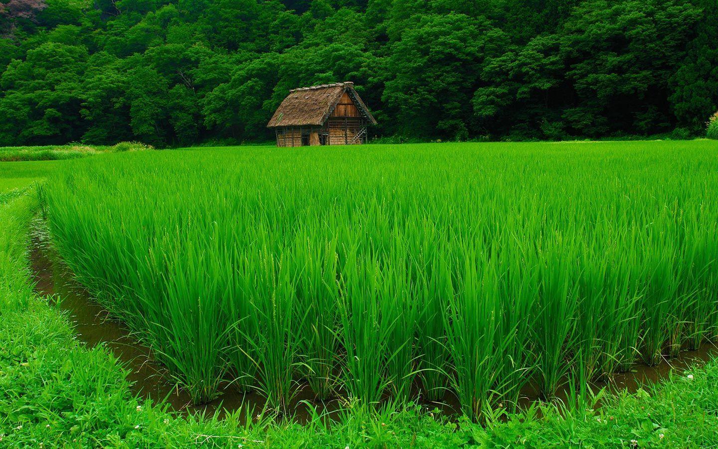 Philippines Nature Wallpapers - Top Free Philippines Nature Backgrounds