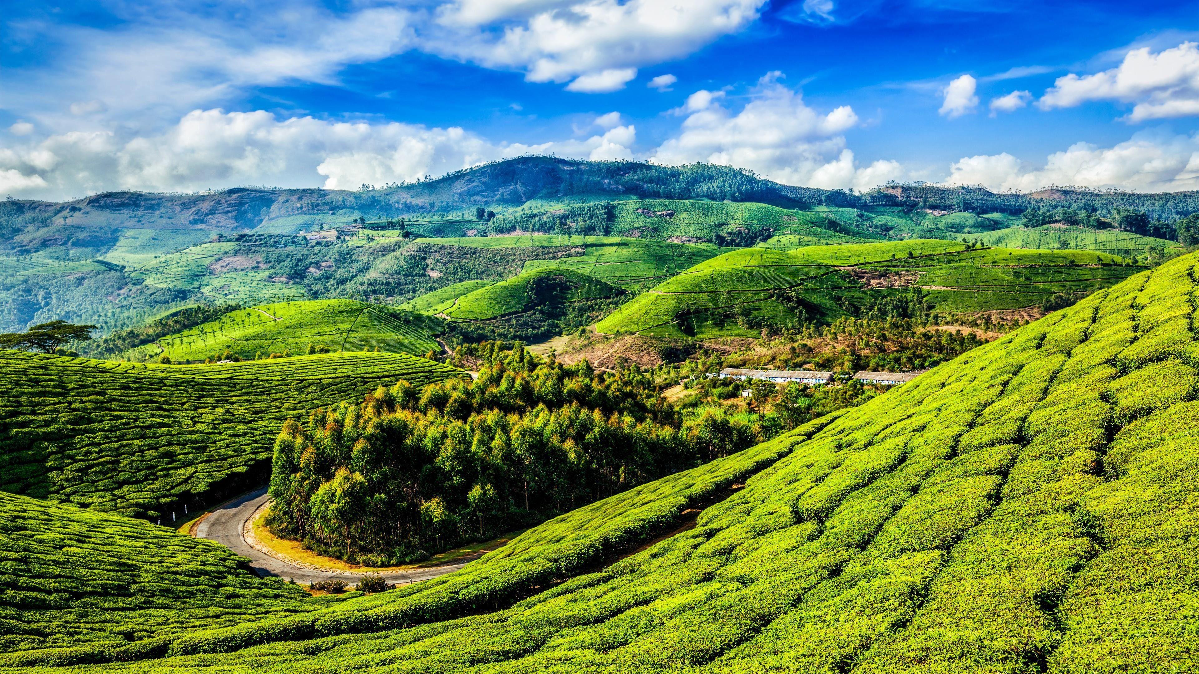 3840x2160 4K Kerala .