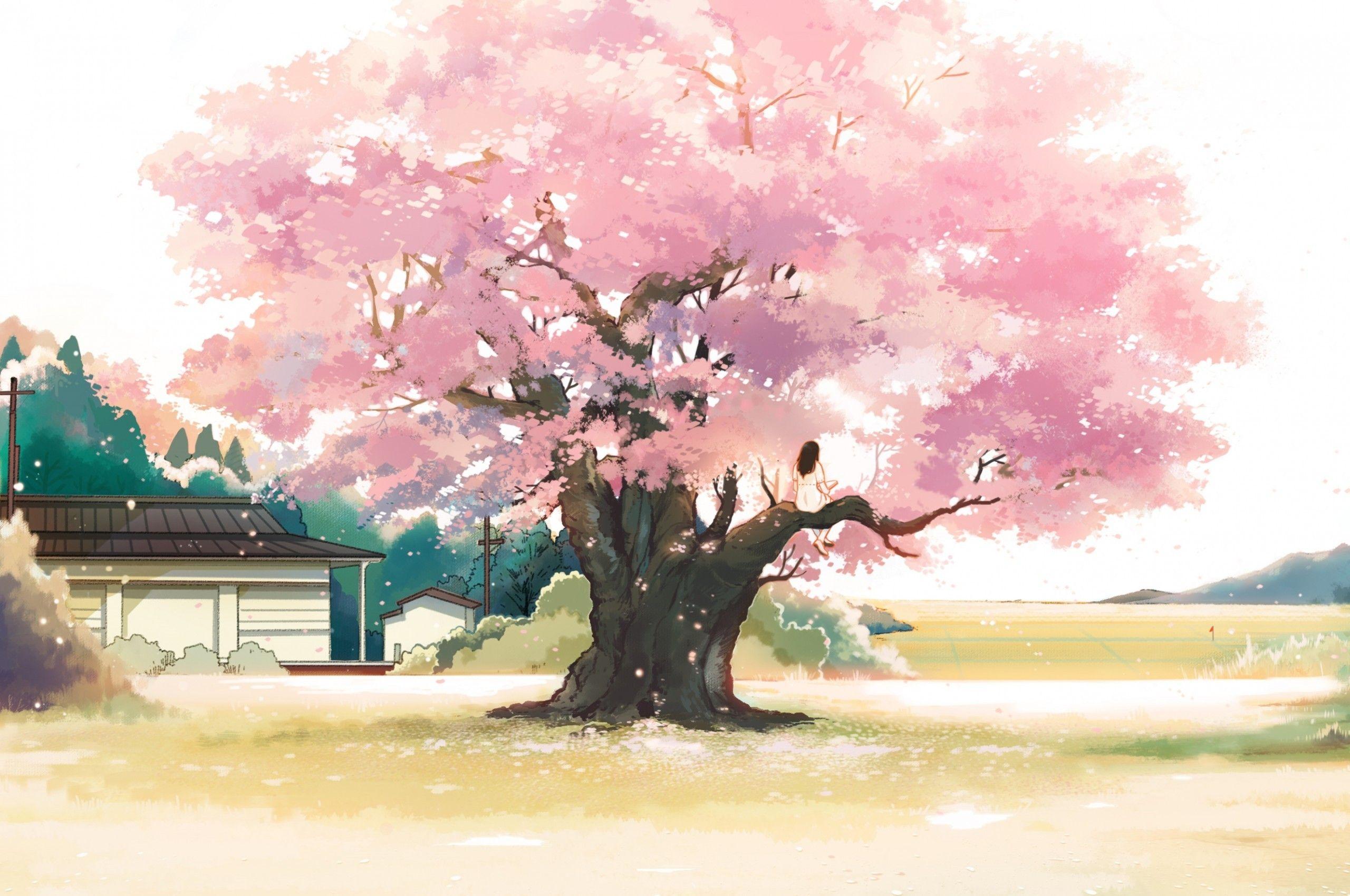 2560x1700 Download 2560x1700 Anime Landscape, Girl, Cherry Blossom, Pink Leaves, Tree, Scenic Wallpaper for Chromebook Pixel