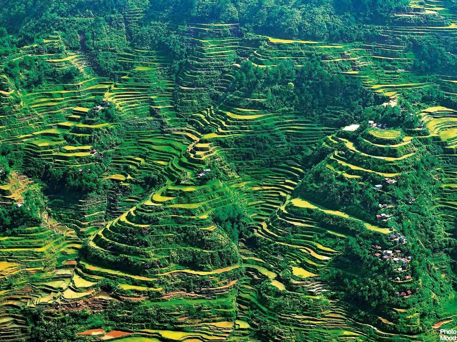 1600x1200 Banaue Rice Terraces, Ifugao, Philippines. Photo inspiration