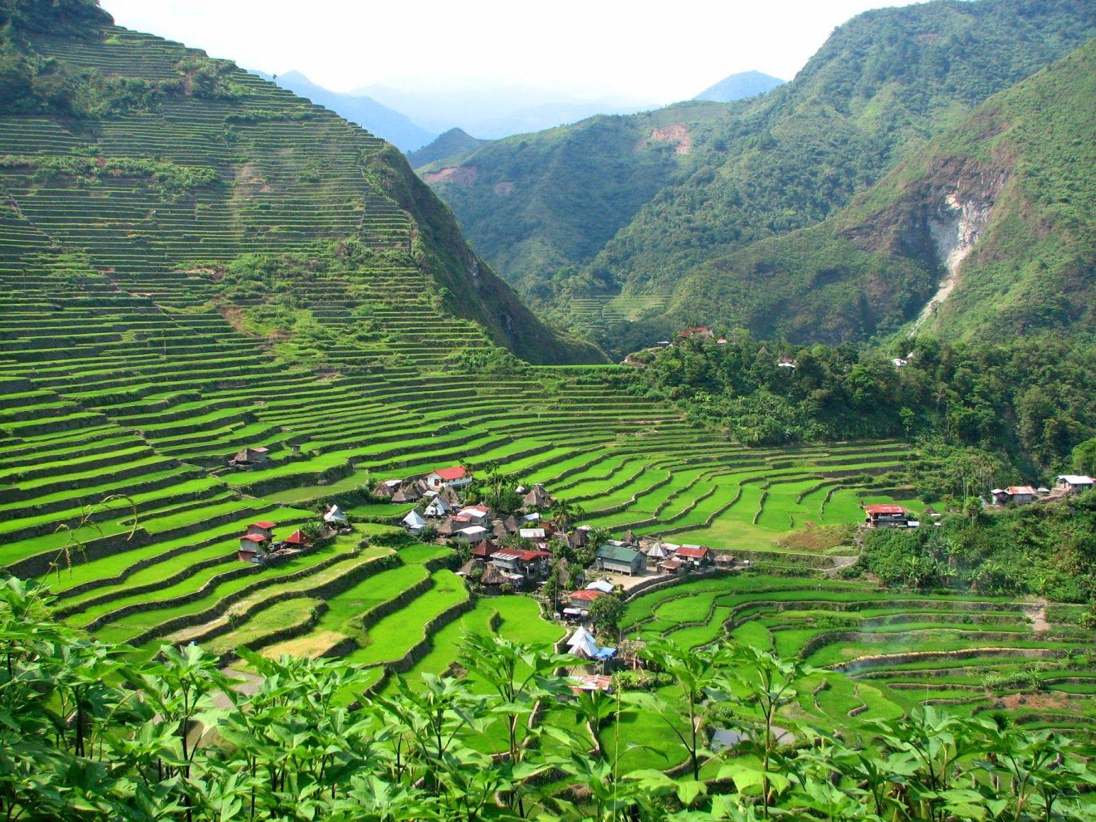 1600x1200 Rice terrain, Philippines
