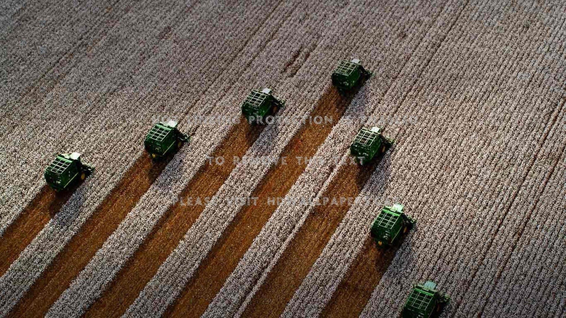 1920x1080 harvest of cotton fields combines tractors